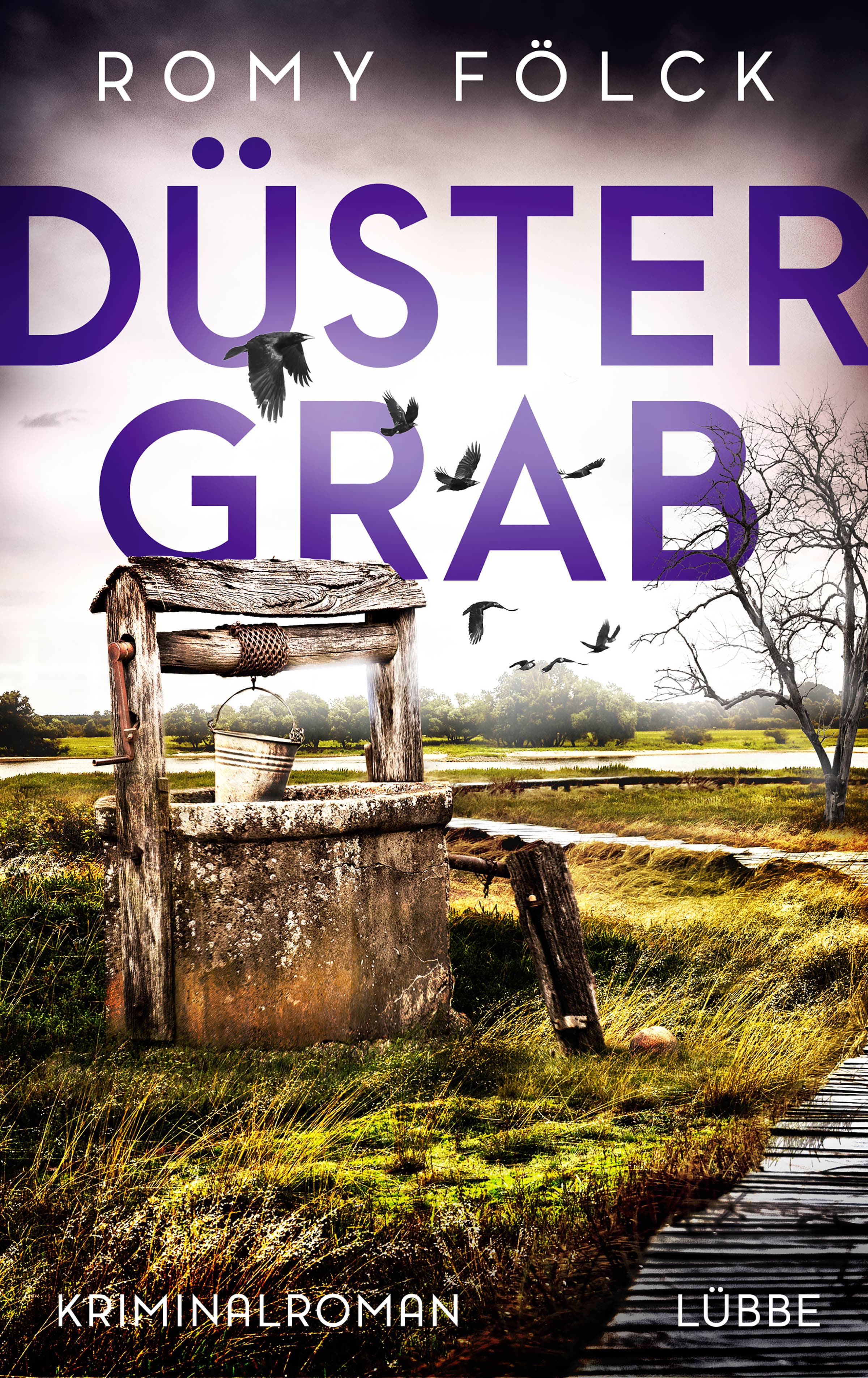 Produktbild: Düstergrab (9783751741897 )