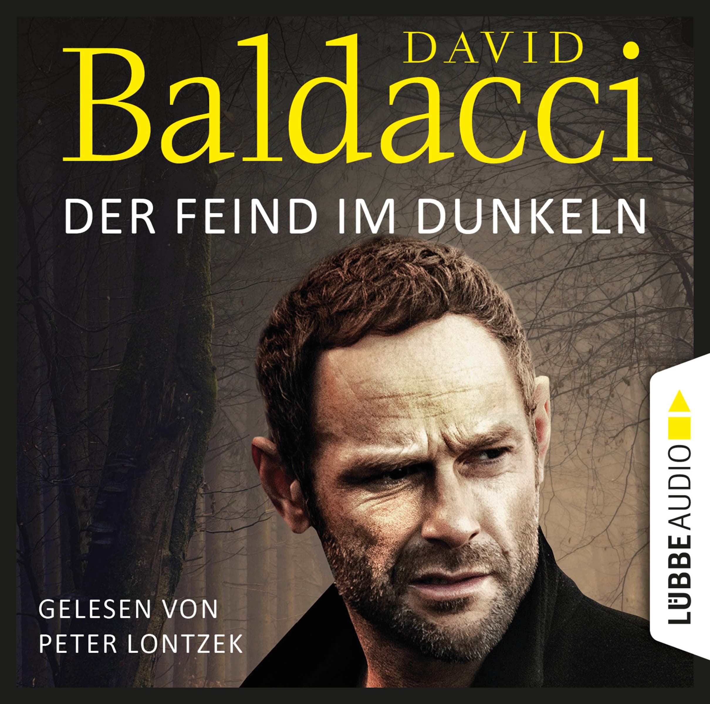 Produktbild: Der Feind im Dunkeln (9783838789194 )