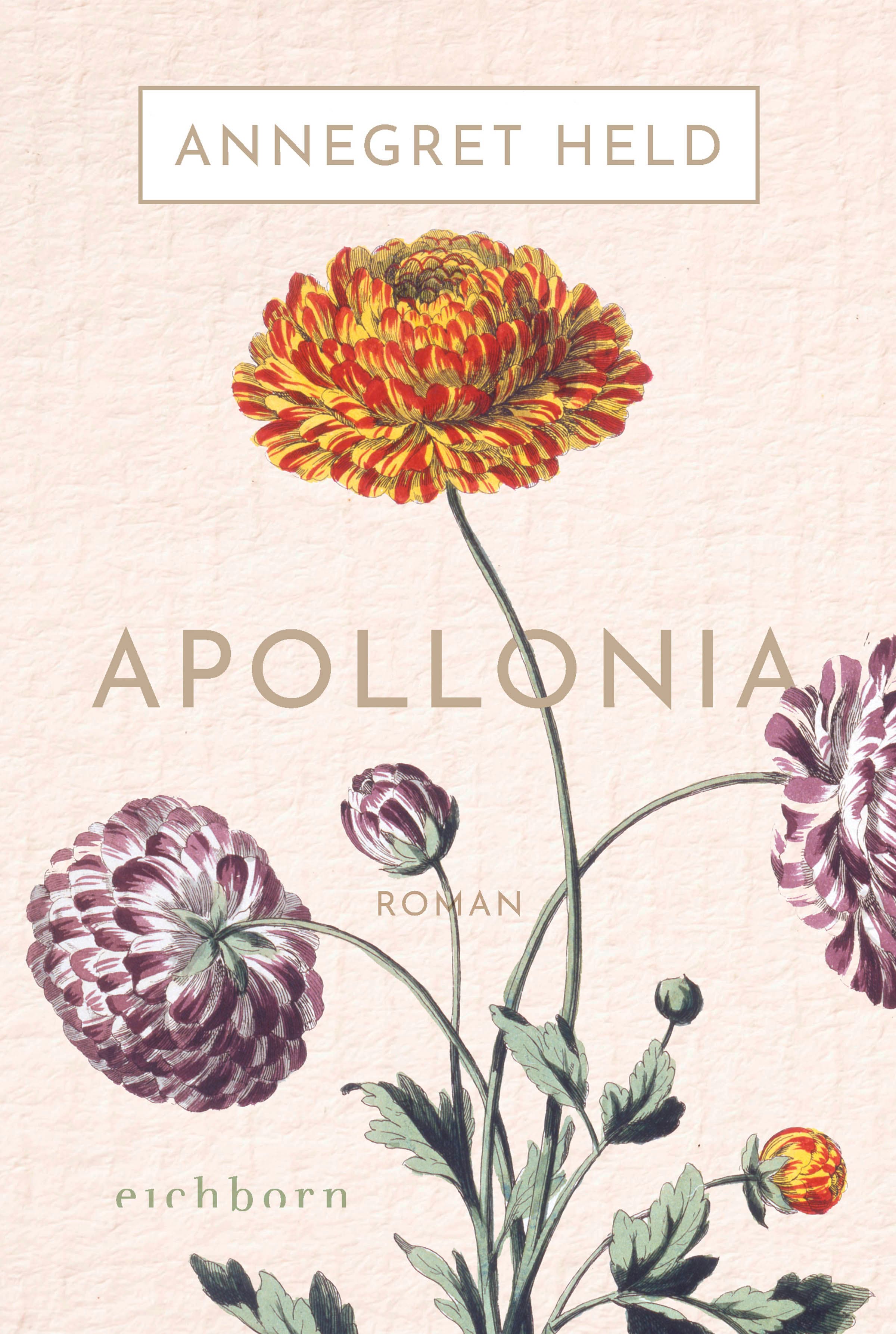 Produktbild: Apollonia (9783732595068 )