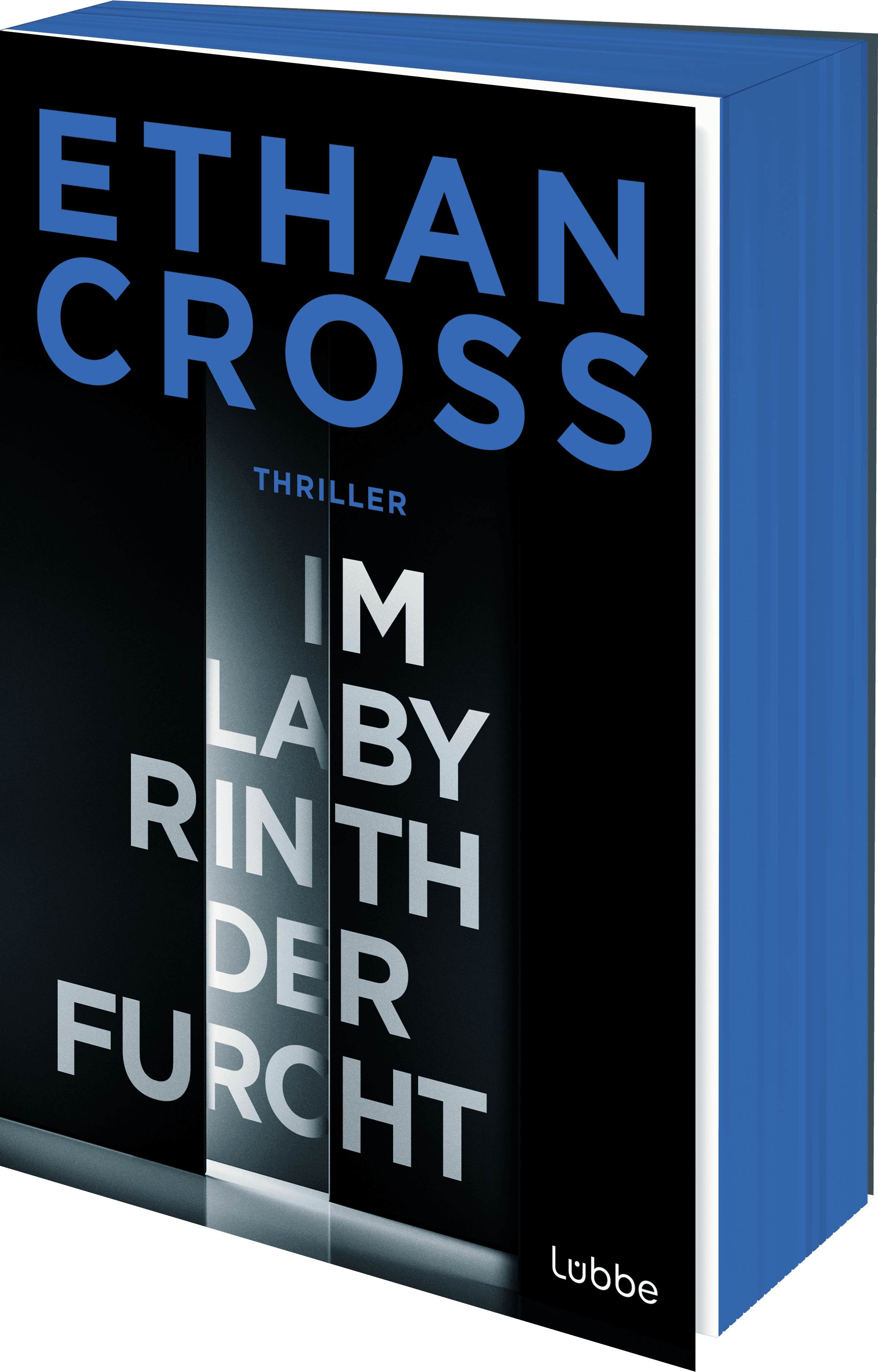 Im Labyrinth der Furcht