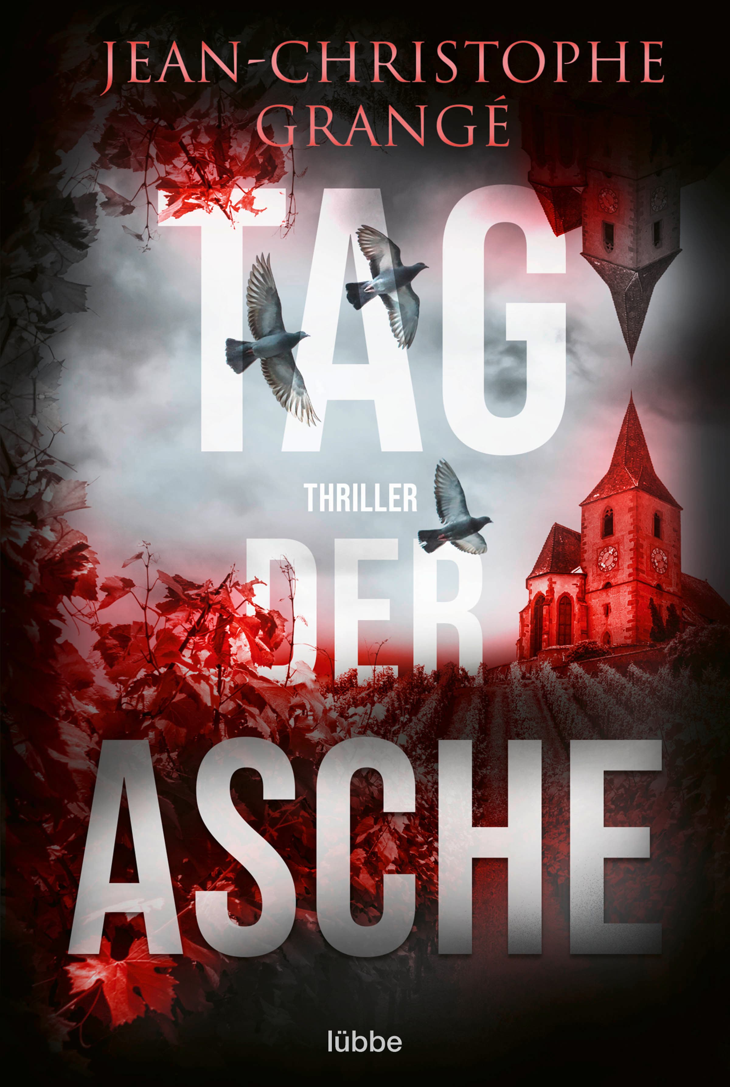 Produktbild: Tag der Asche (9783751720854 )