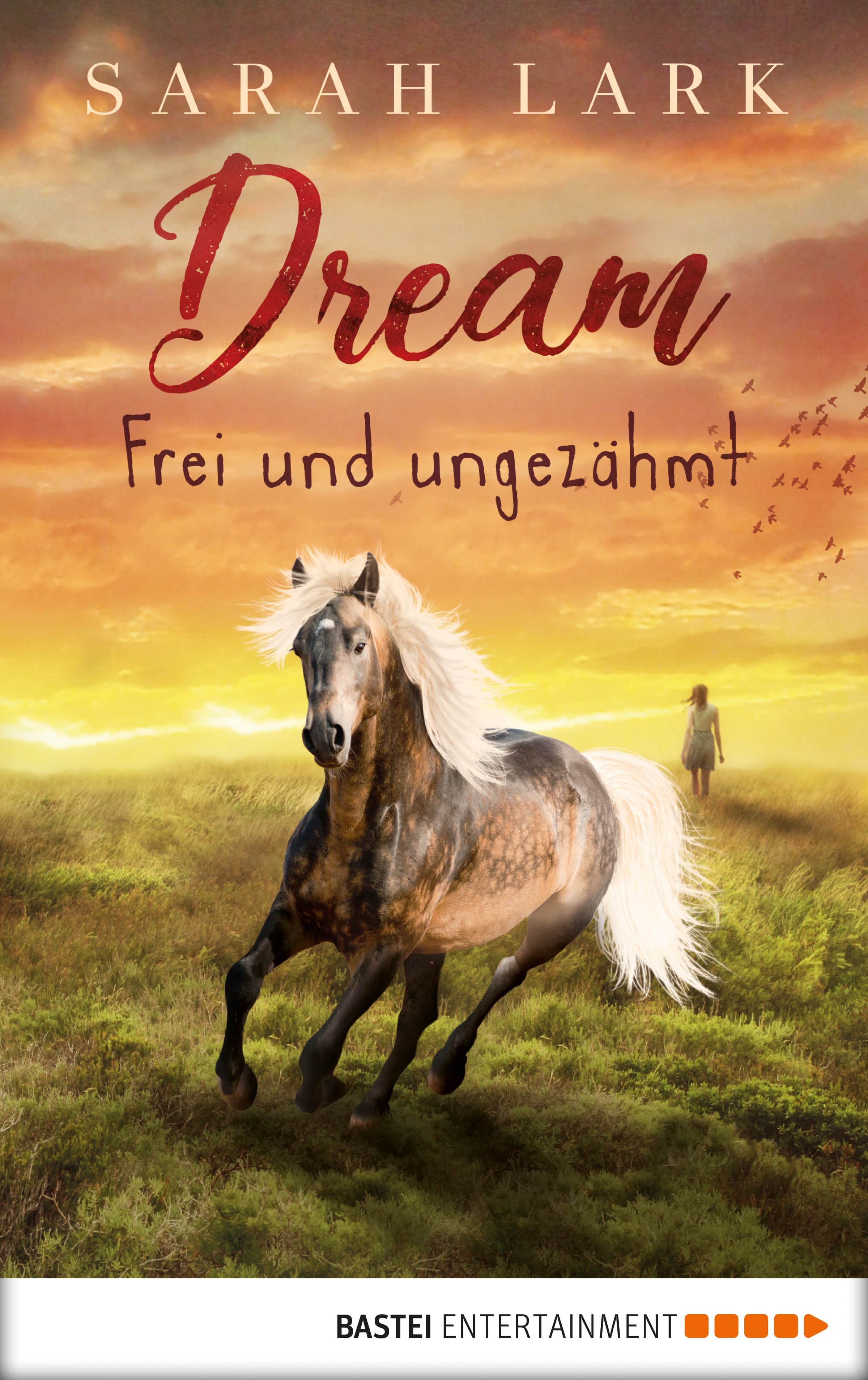 Produktbild: Dream - Frei und ungezähmt (9783732557592 )