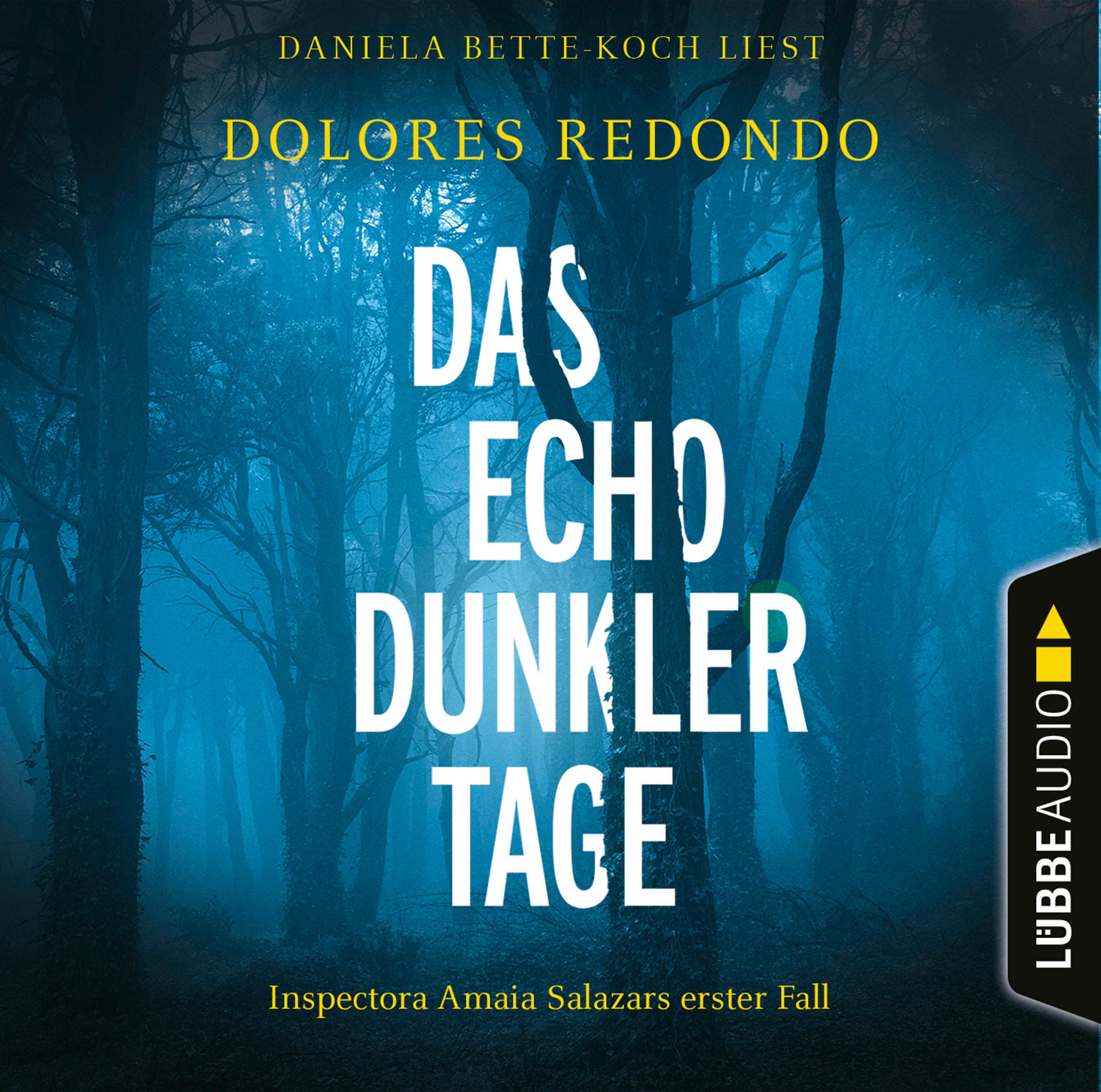 Das Echo dunkler Tage