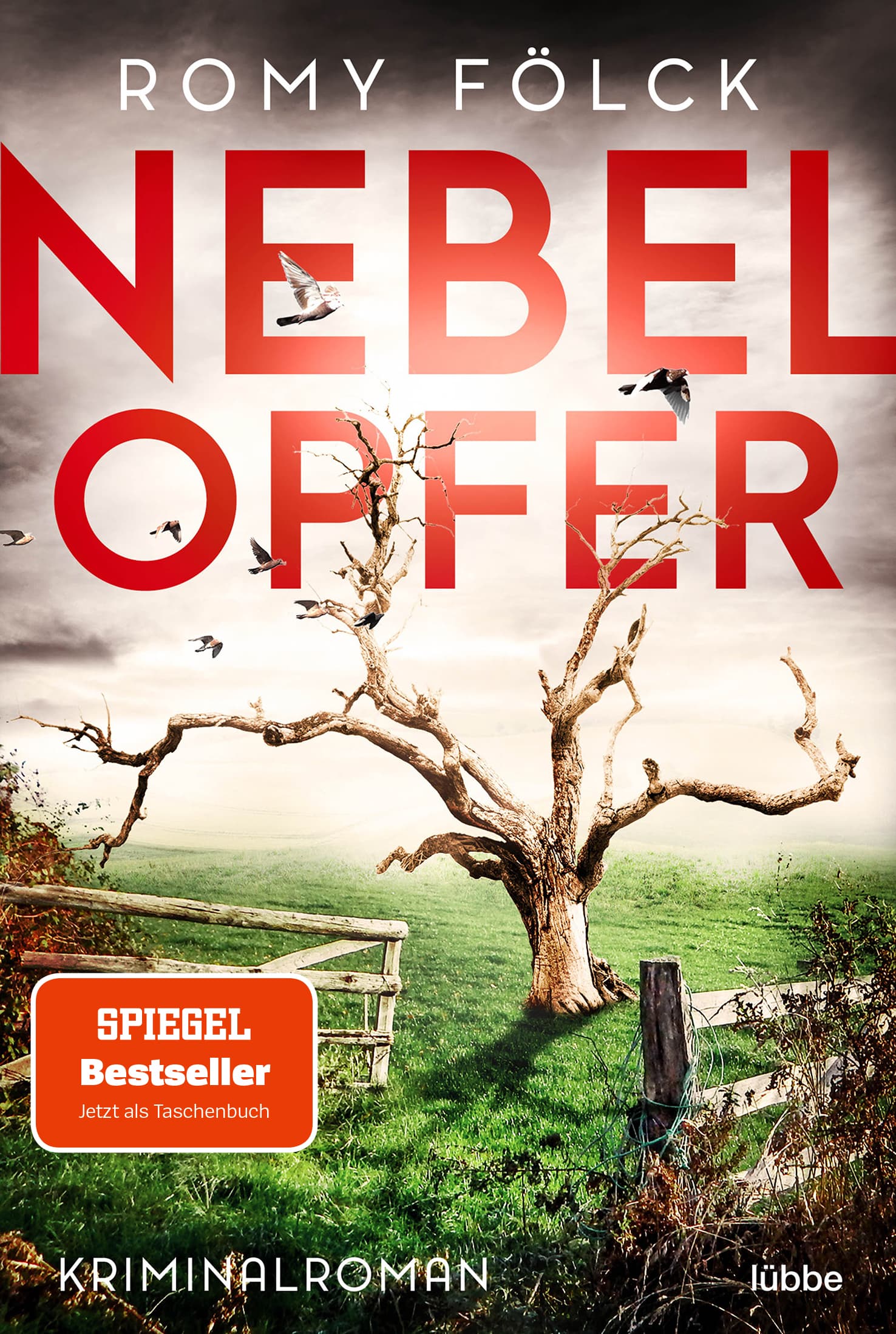 Produktbild: Nebelopfer (9783751710367 )