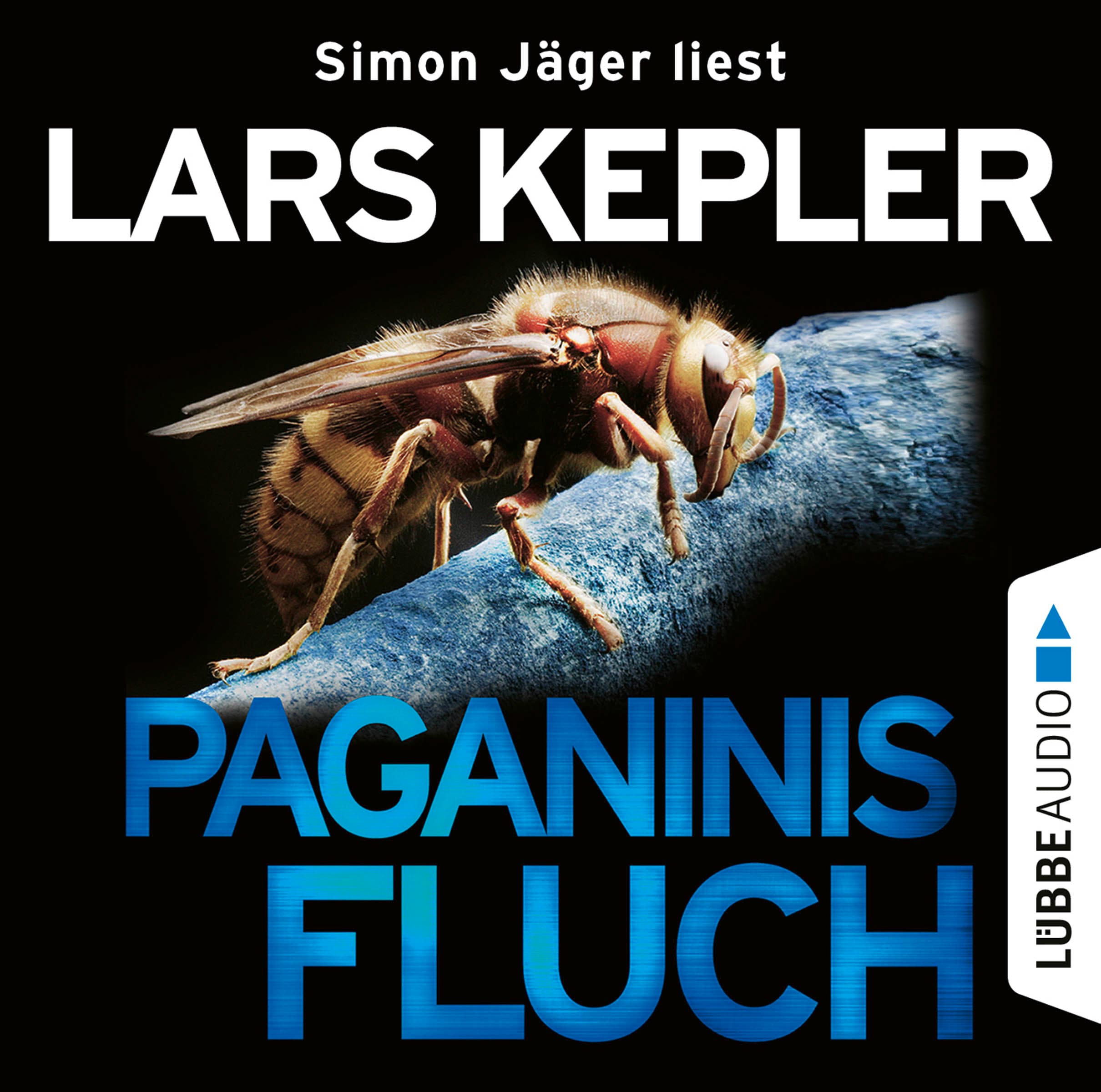 Produktbild: Paganinis Fluch (9783838769103 )