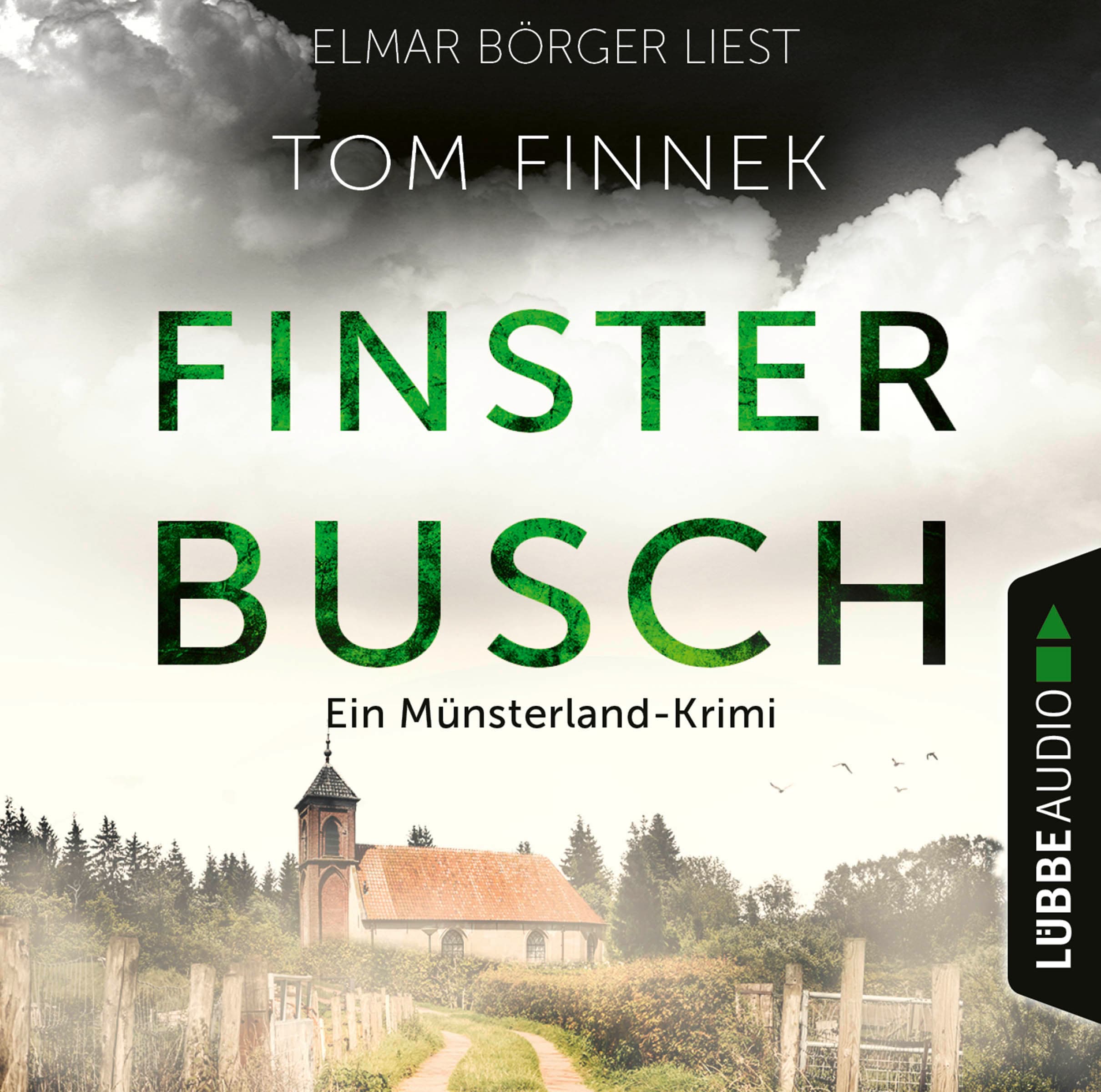 Produktbild: Finsterbusch (9783838799162 )