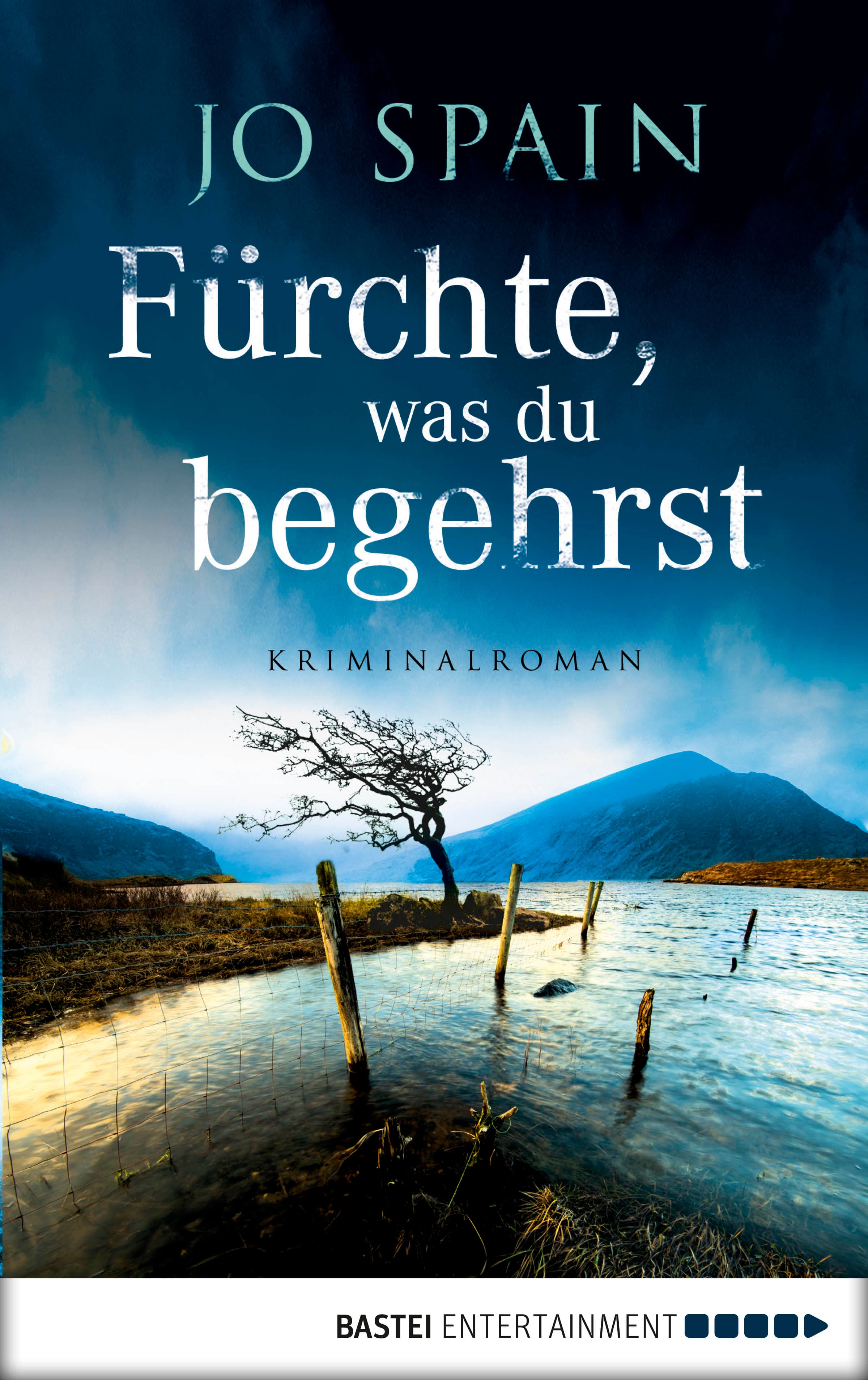 Produktbild: Fürchte, was du begehrst (9783732556502 )