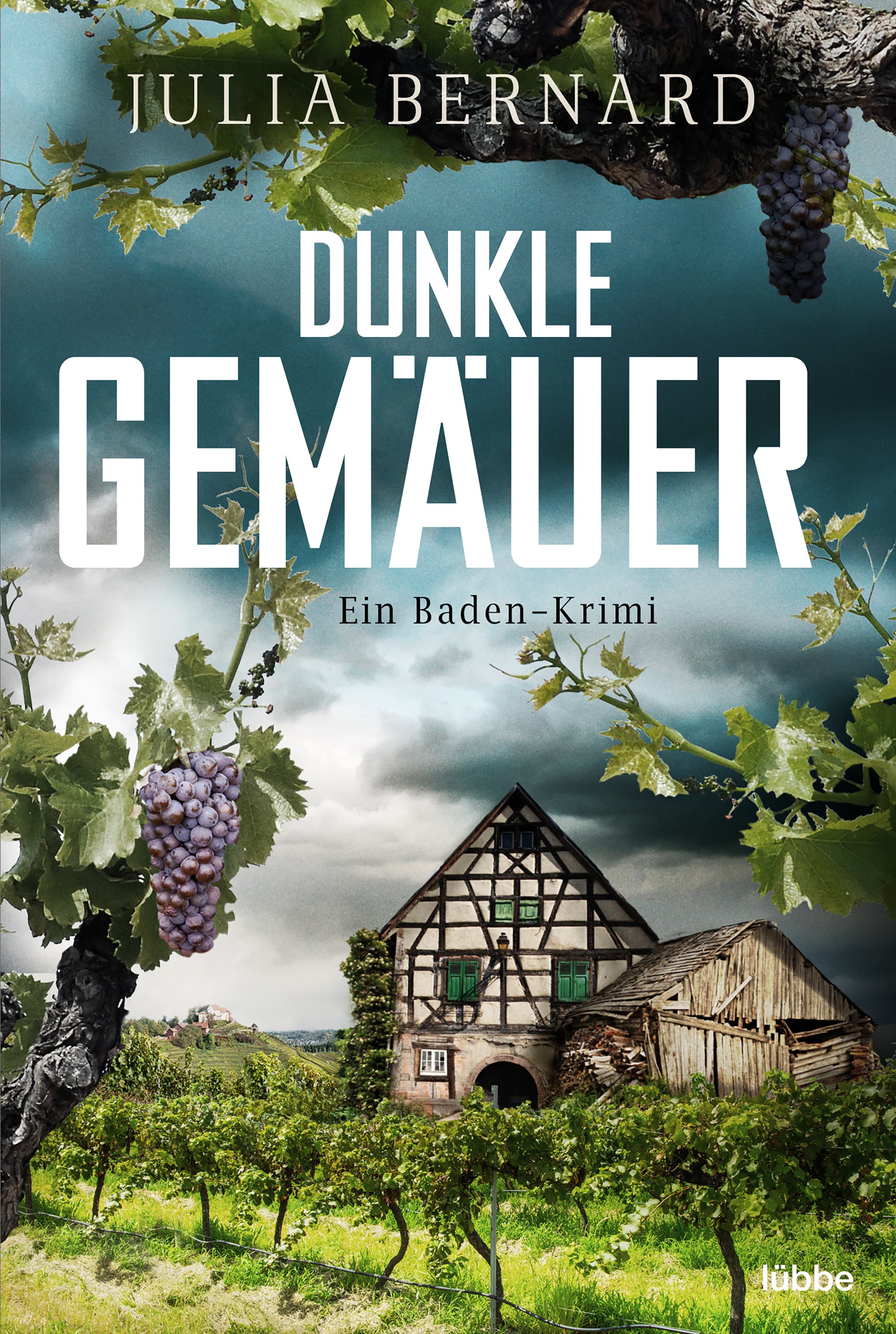 Produktbild: Dunkle Gemäuer (9783751717595 )