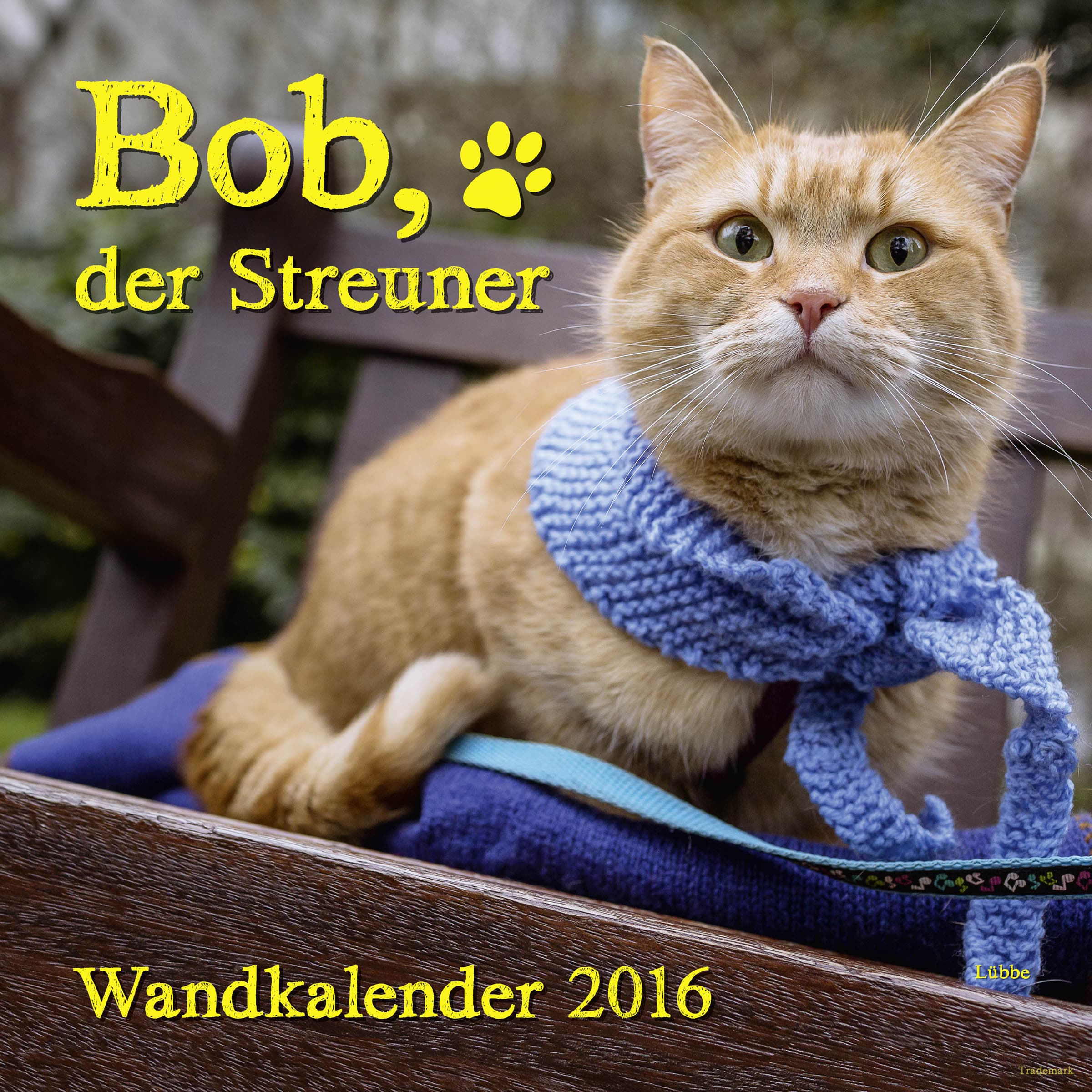 Produktbild: Bob, der Streuner - Wandkalender (9783404608799 )