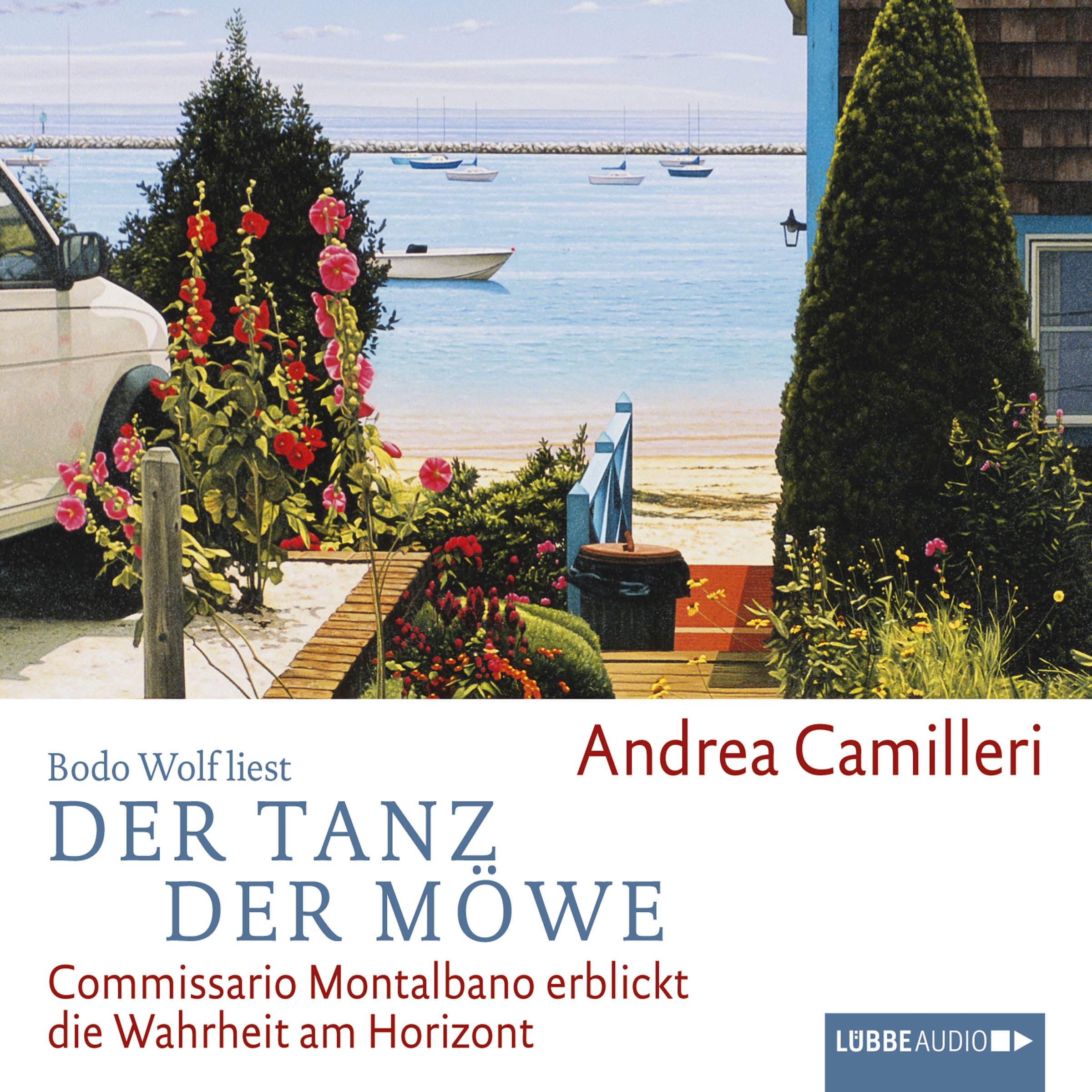 Produktbild: Der Tanz der Möwe (9783838773834 )
