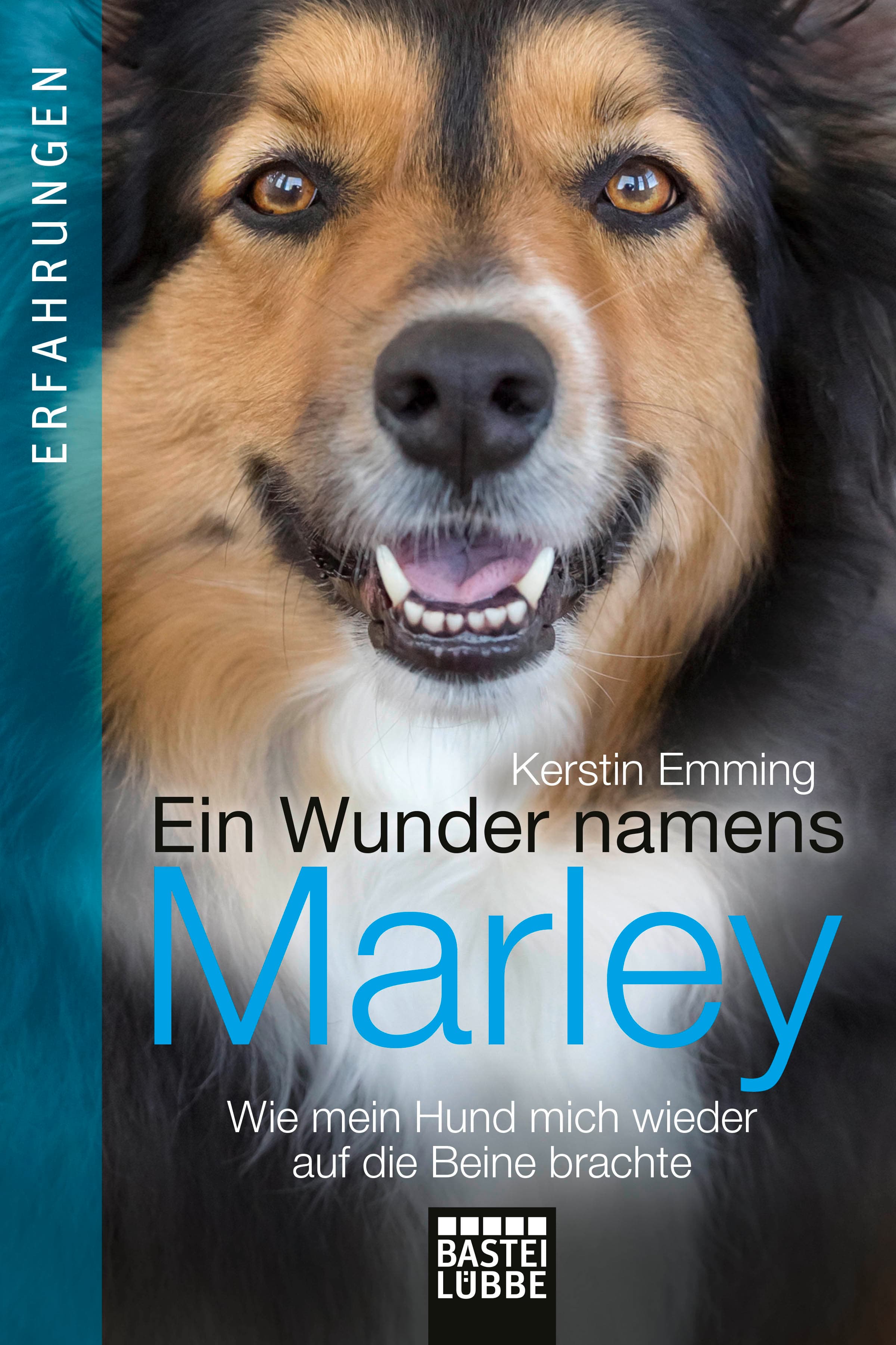Produktbild: Ein Wunder namens Marley (9783732580040 )