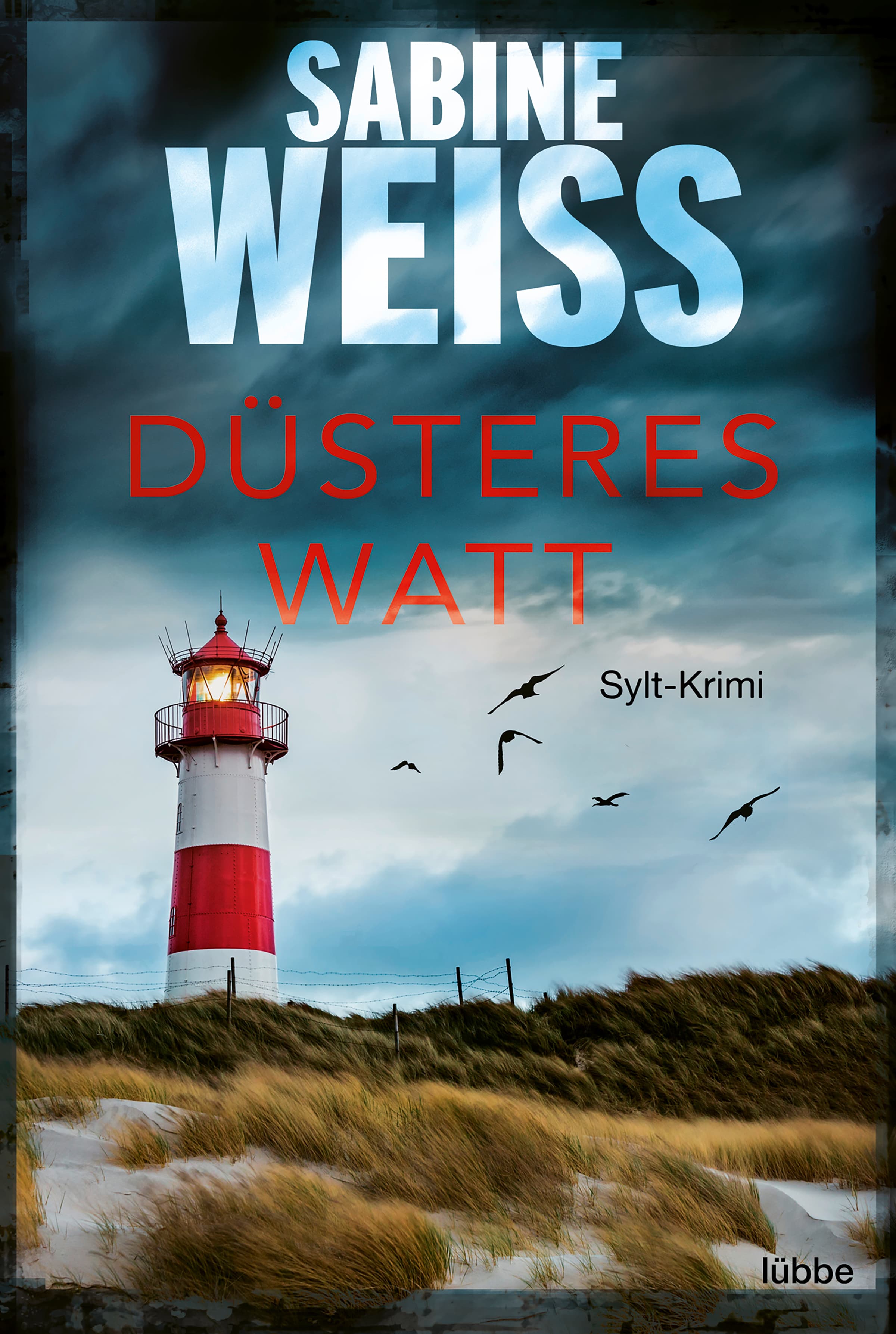 Produktbild: Düsteres Watt (9783751721189 )