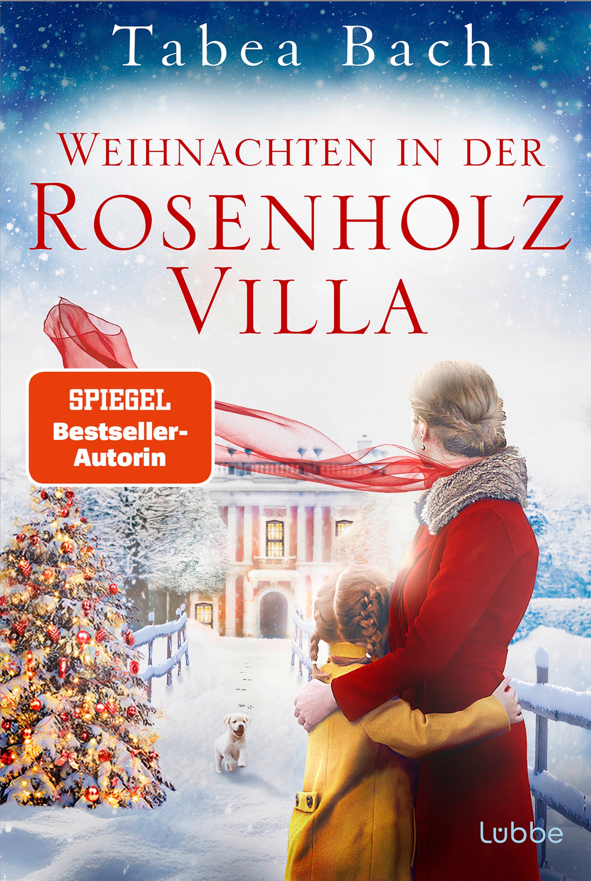 Produktbild: Weihnachten in der Rosenholzvilla (9783404193899 )