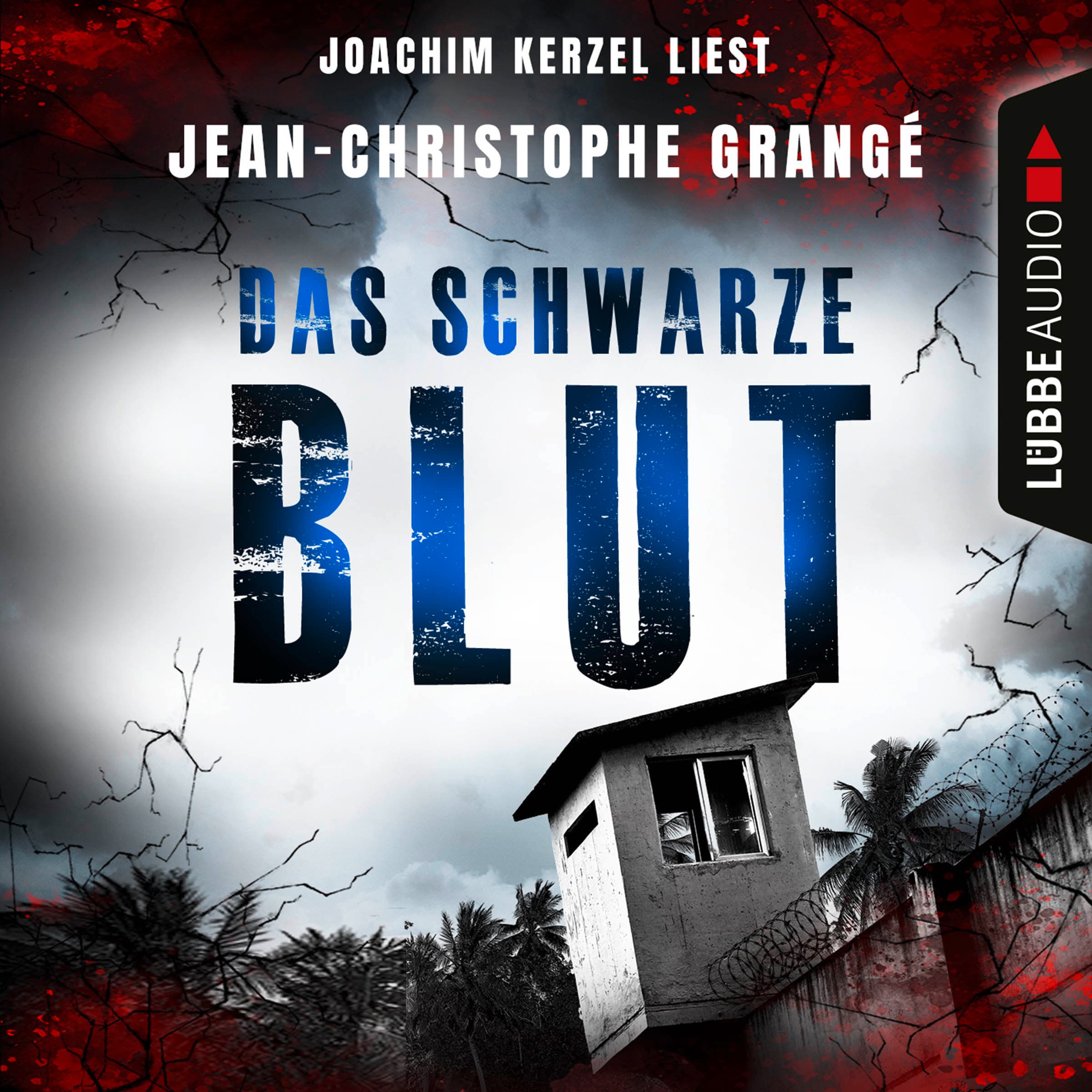 Produktbild: Das schwarze Blut (9783838761688 )