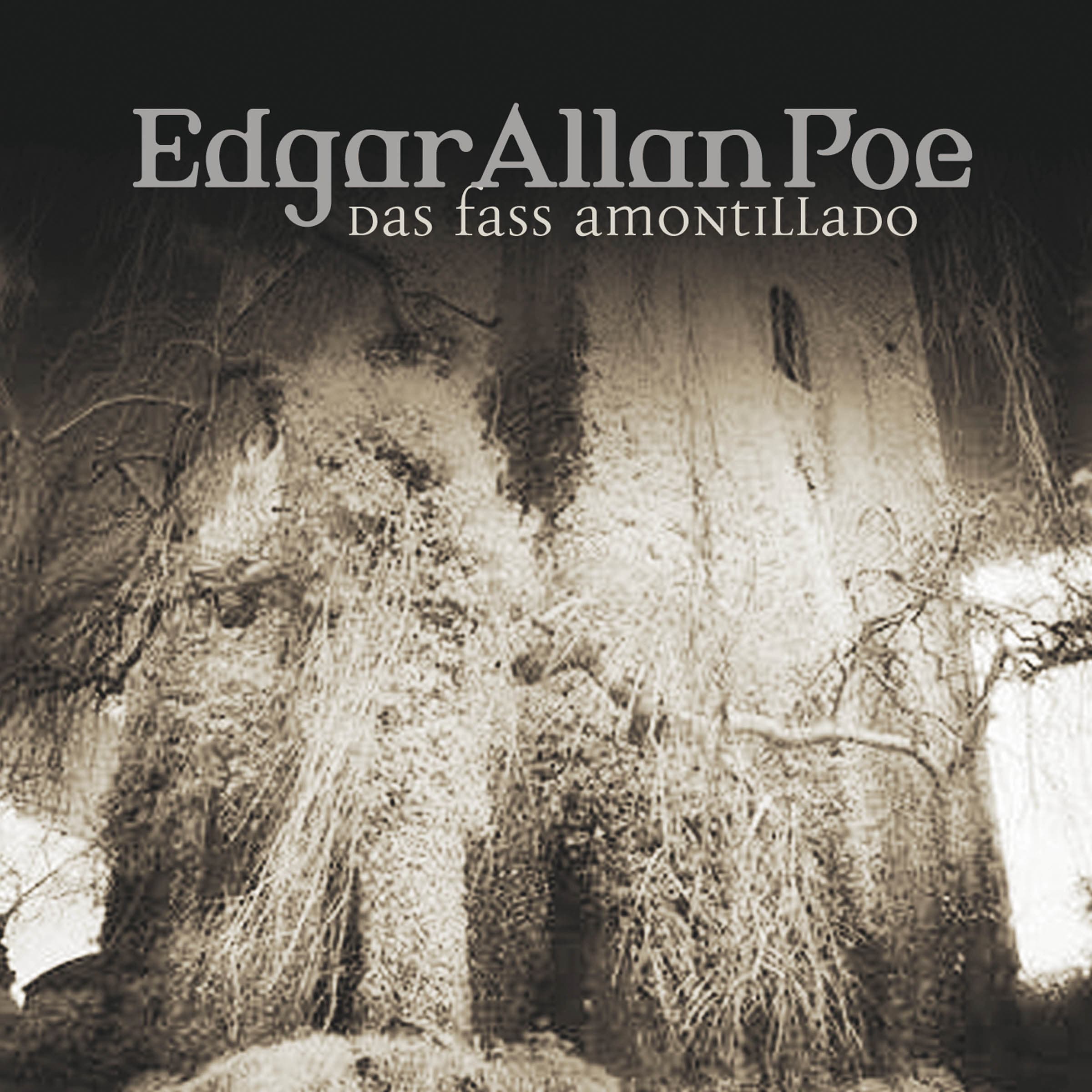 Edgar Allan Poe - Folge 16