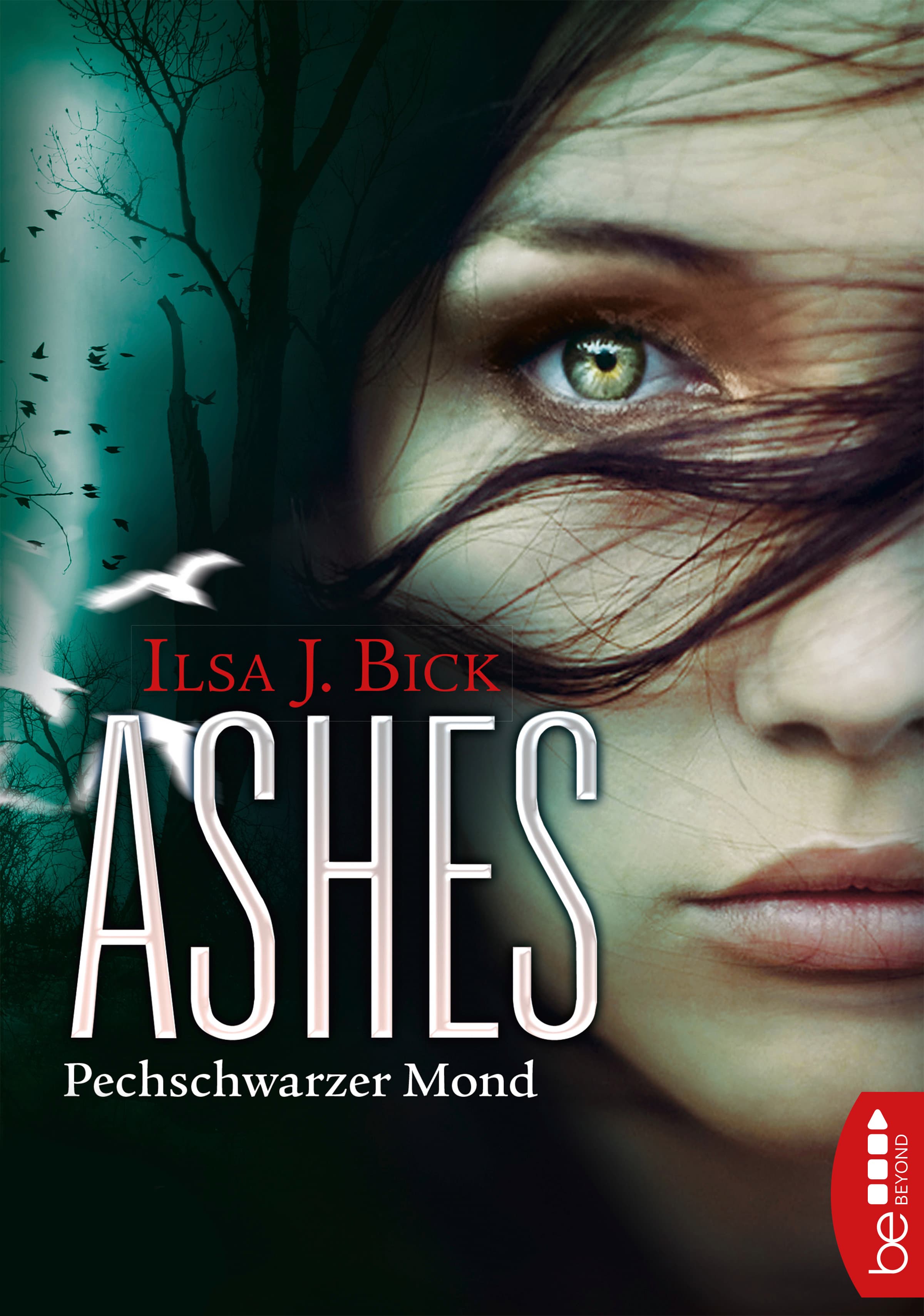 Produktbild: Ashes - Pechschwarzer Mond (9783732547807 )