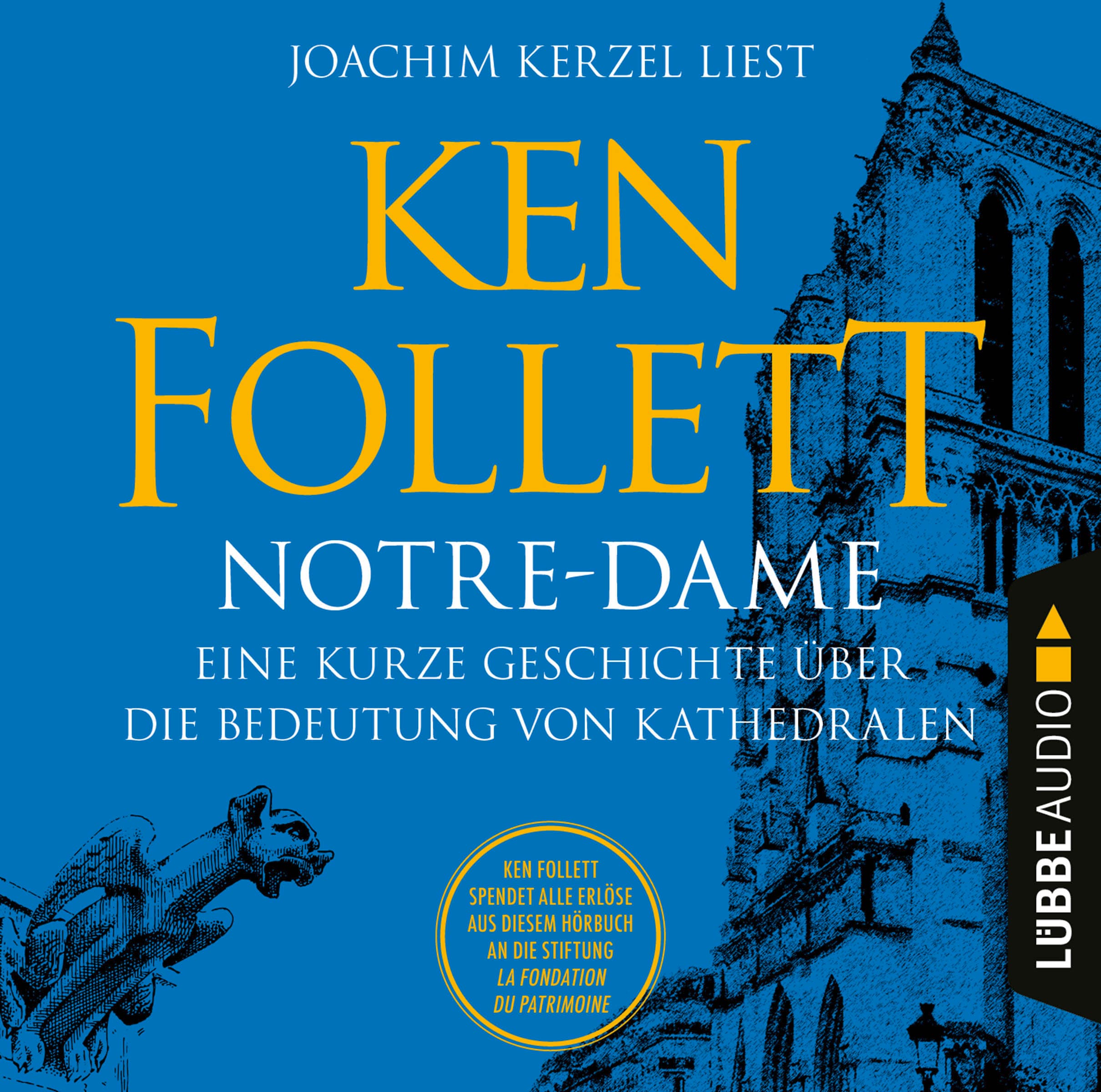 Produktbild: Notre-Dame - Eine kurze Geschichte über die Bedeutung von Kathedralen (9783838793757 )