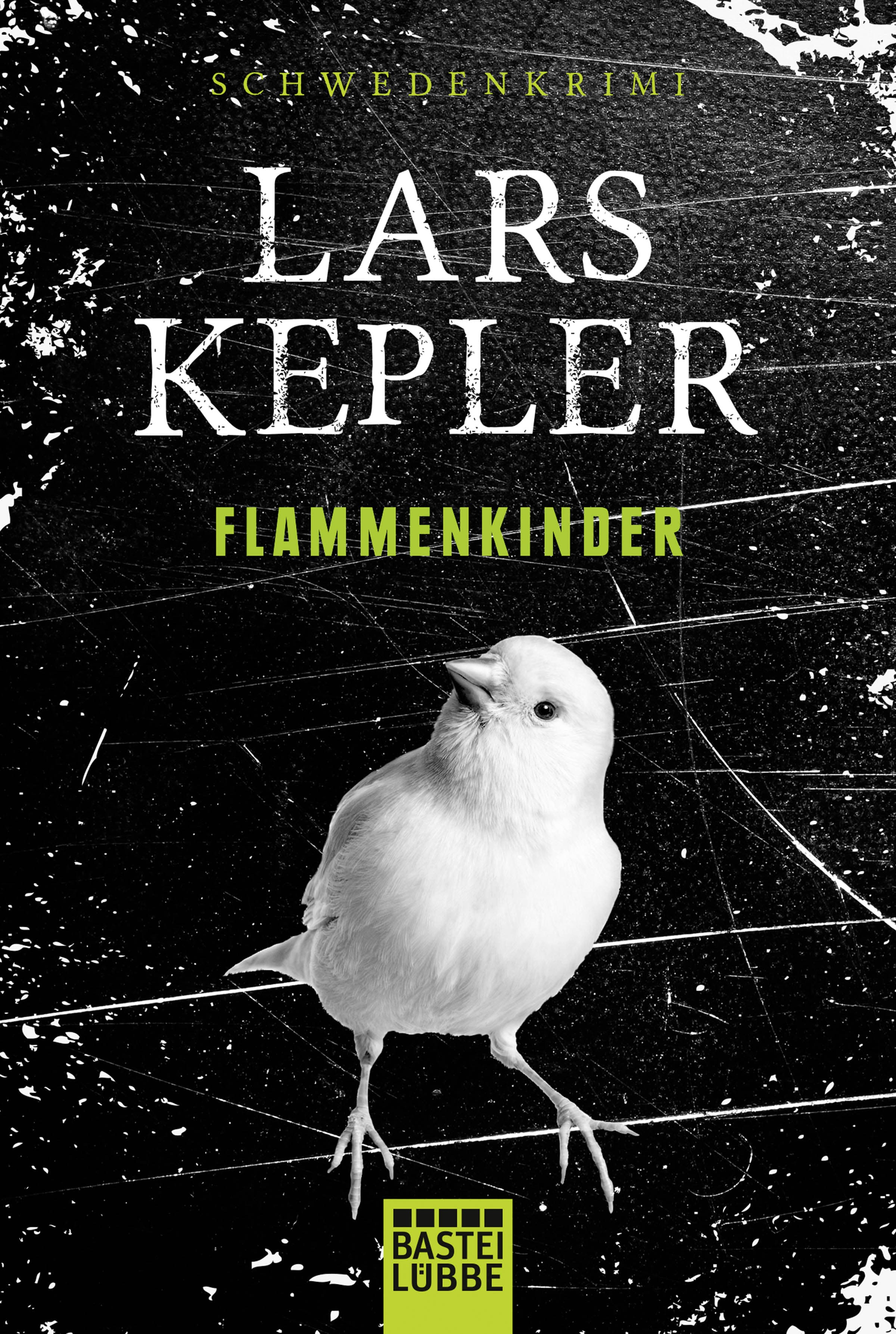 Produktbild: Flammenkinder (9783404271467 )