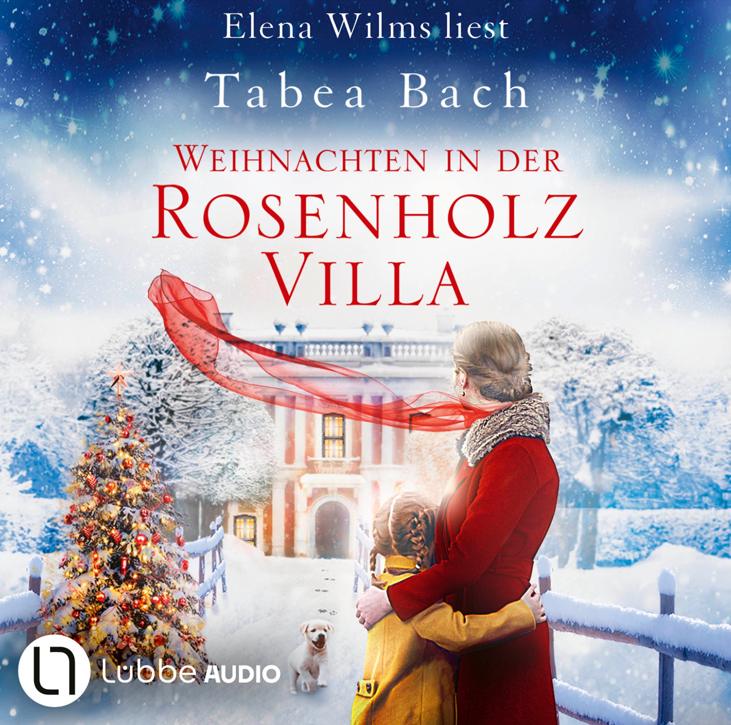 Produktbild: Weihnachten in der Rosenholzvilla (9783754016855 )