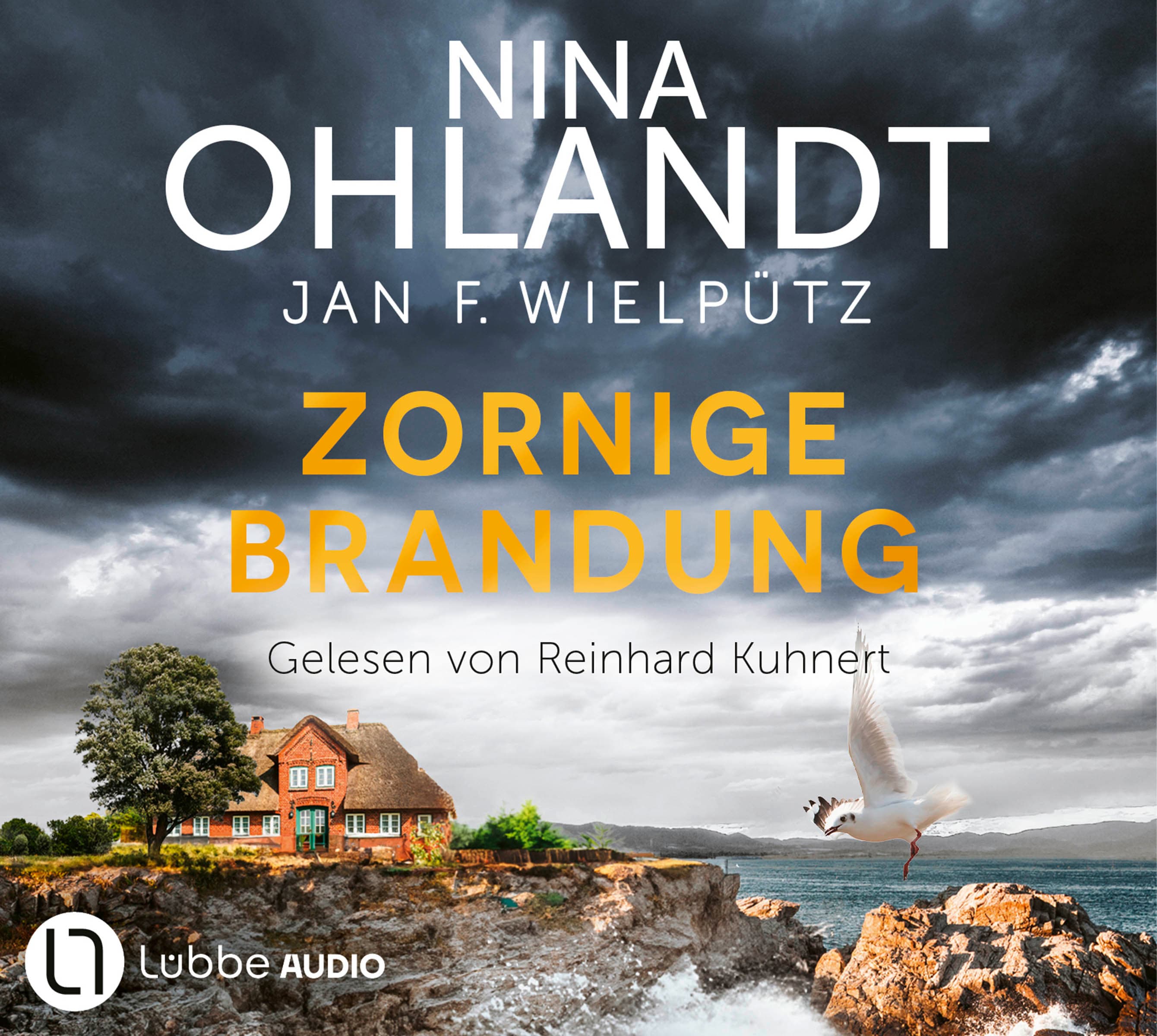 Produktbild: Zornige Brandung  (9783754016534 )