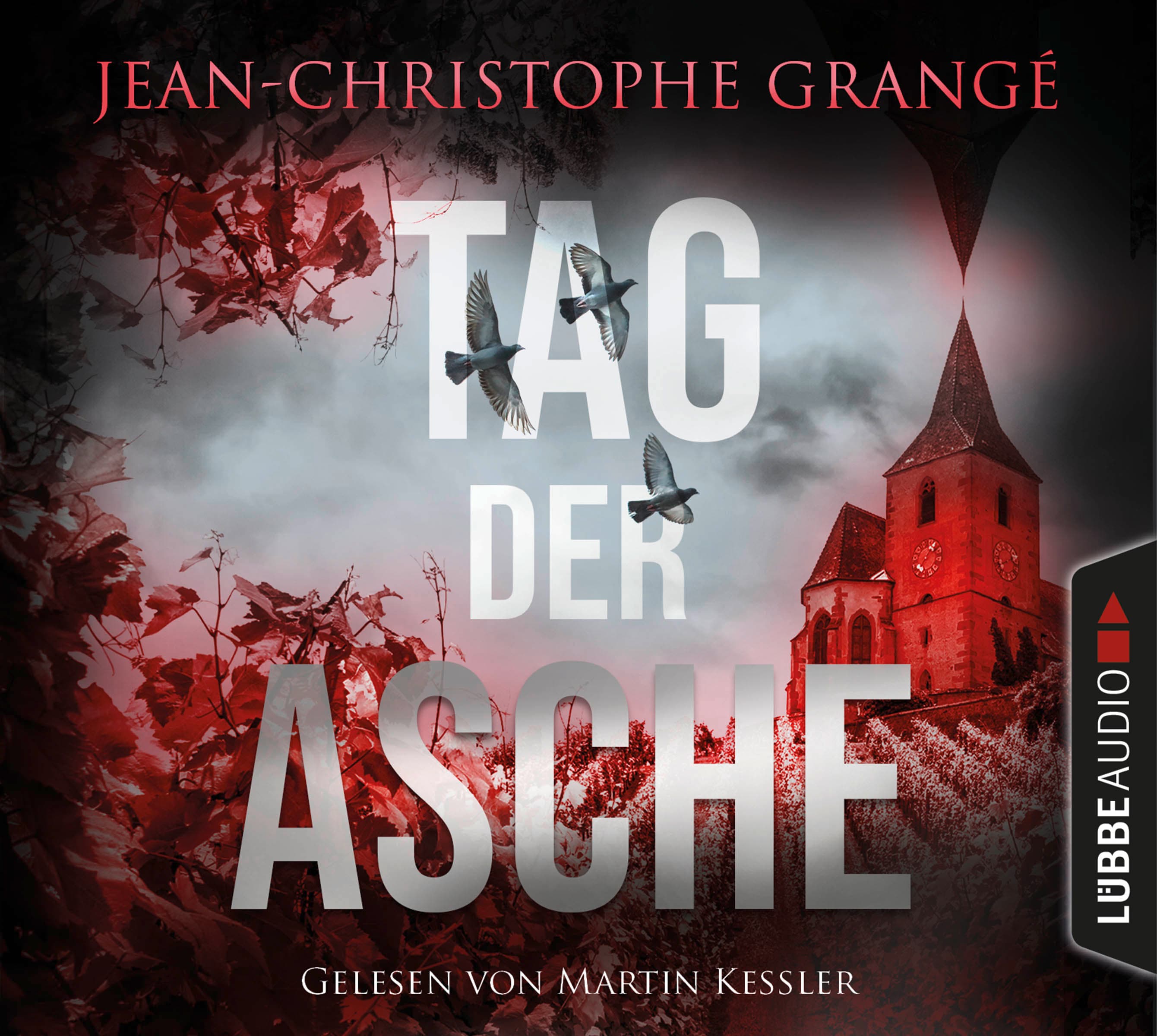 Produktbild: Tag der Asche (9783754003275 )