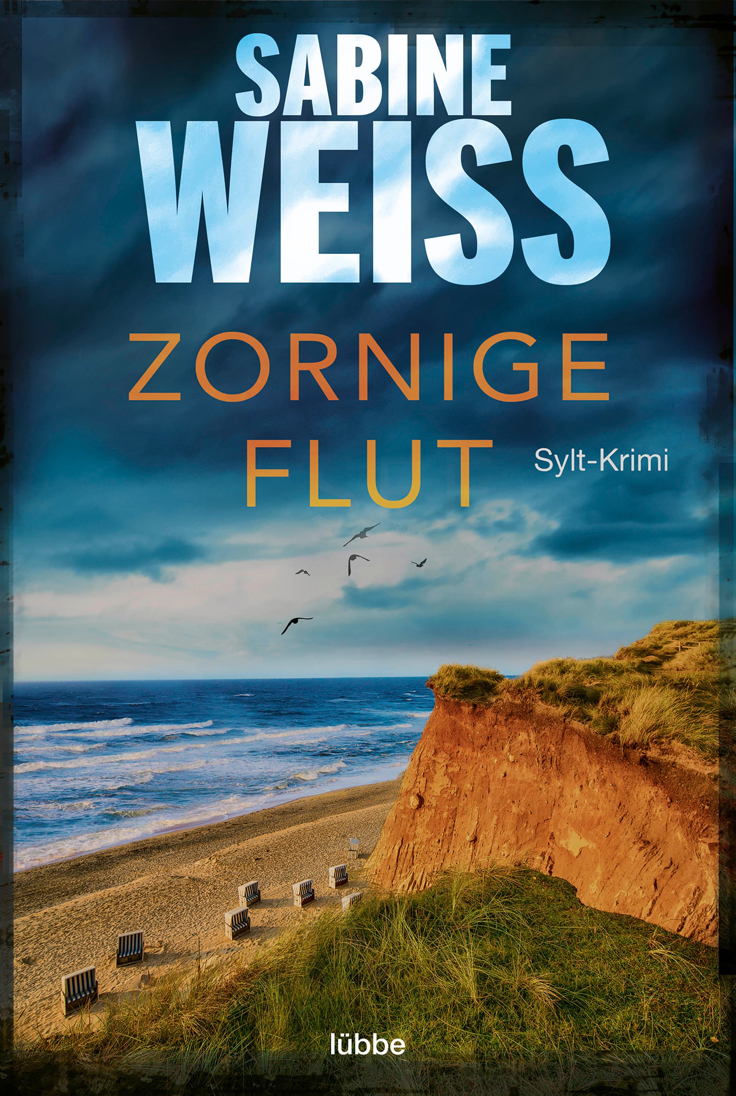 Produktbild: Zornige Flut (9783751742511 )