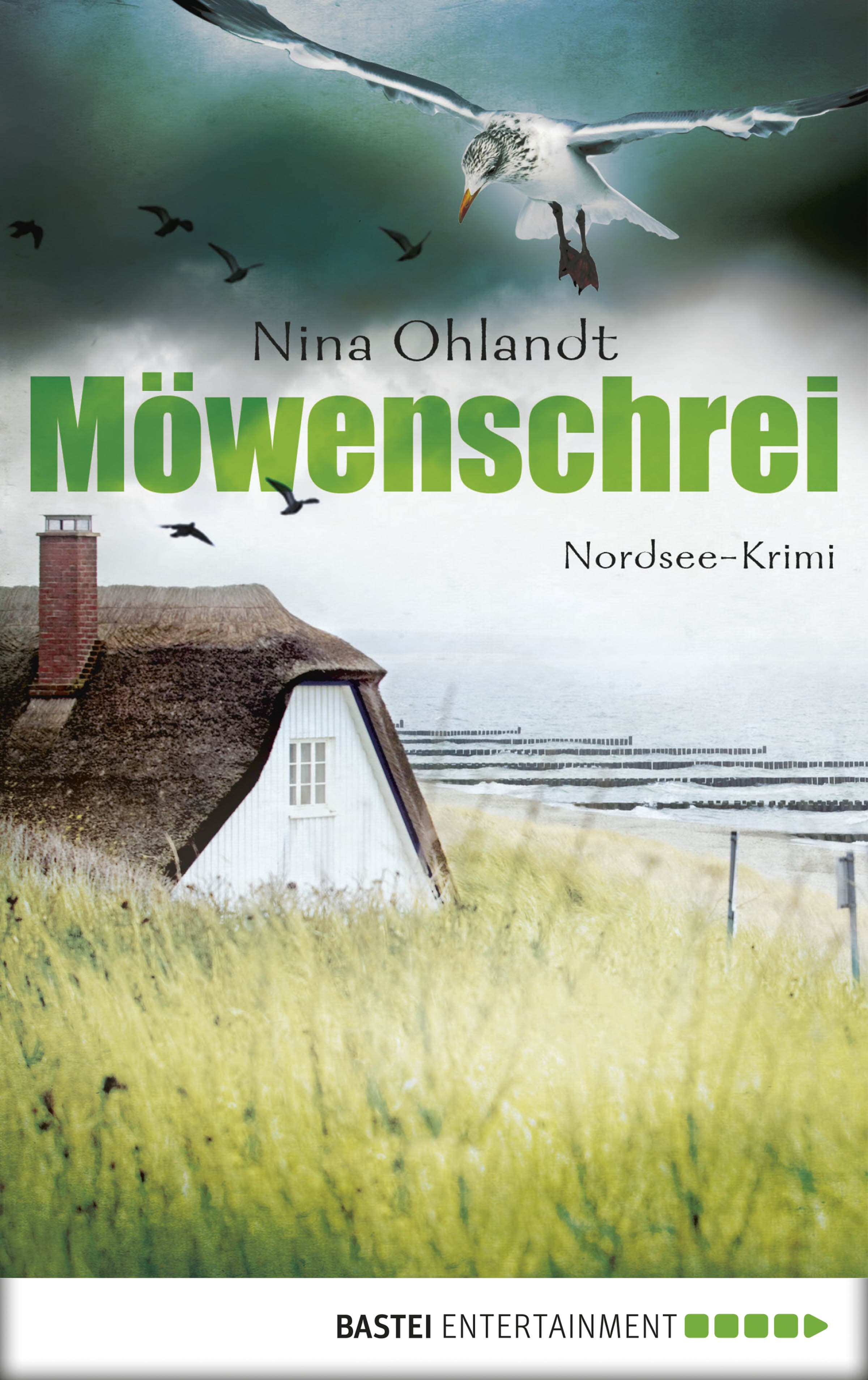 Produktbild: Möwenschrei (9783838759340 )