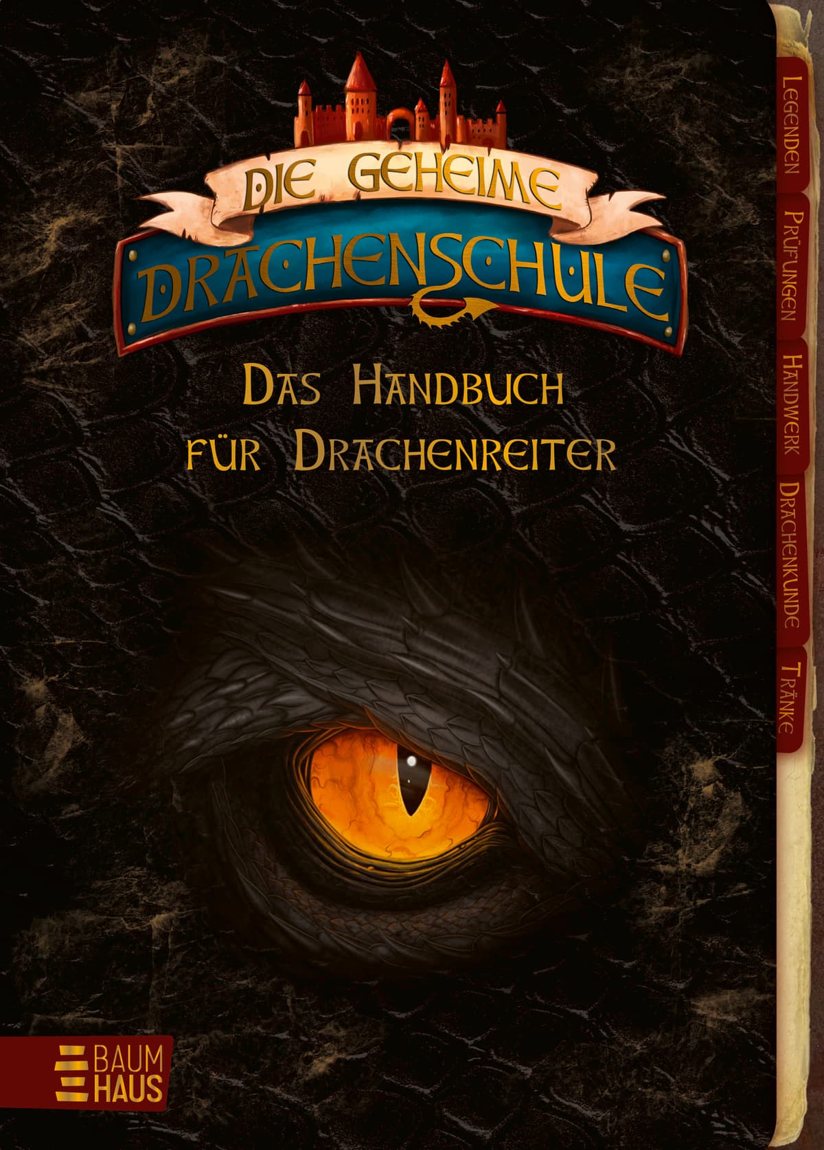 Die geheime Drachenschule