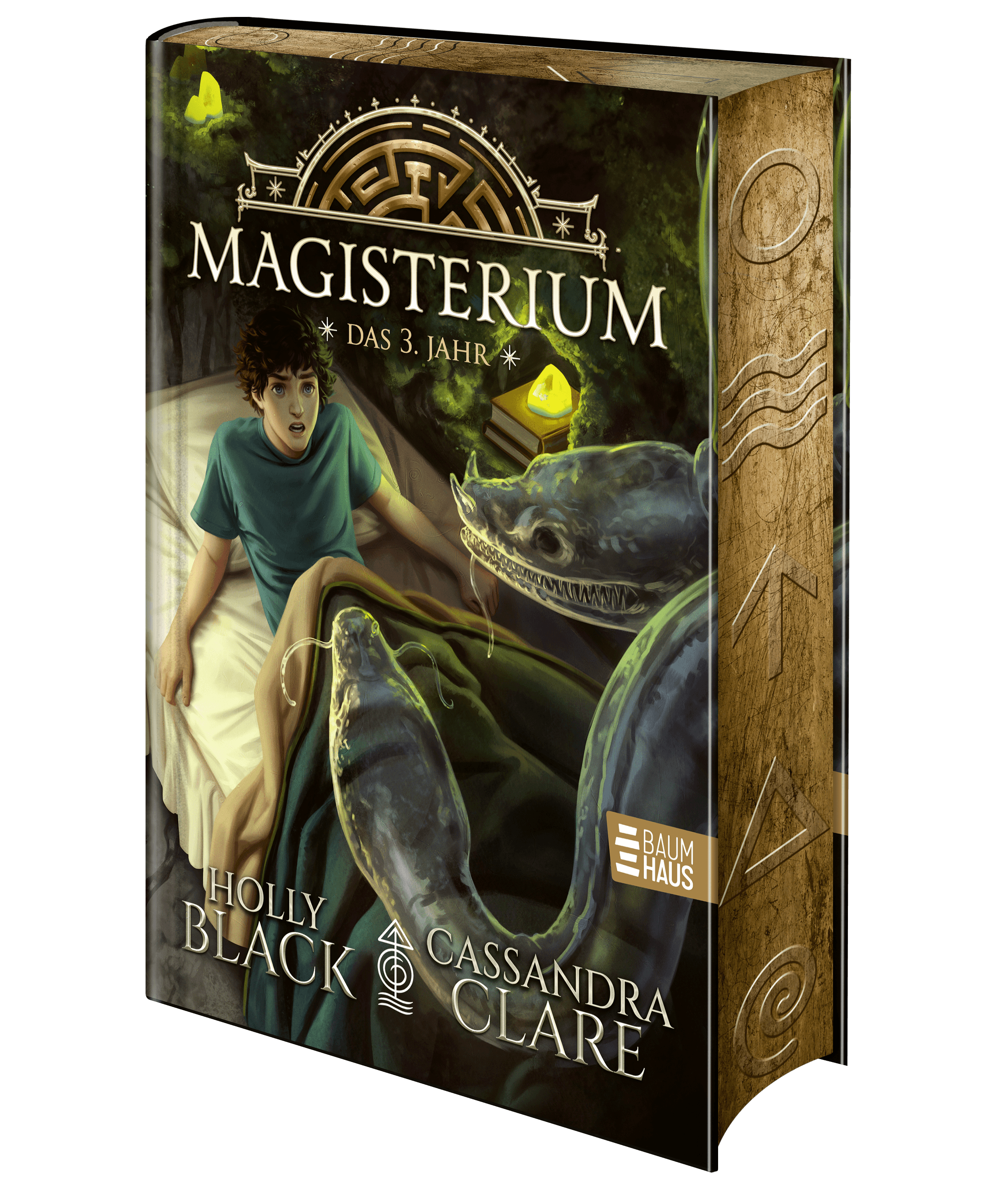 Produktbild: Magisterium - Das 3. Jahr (9783833909887 )