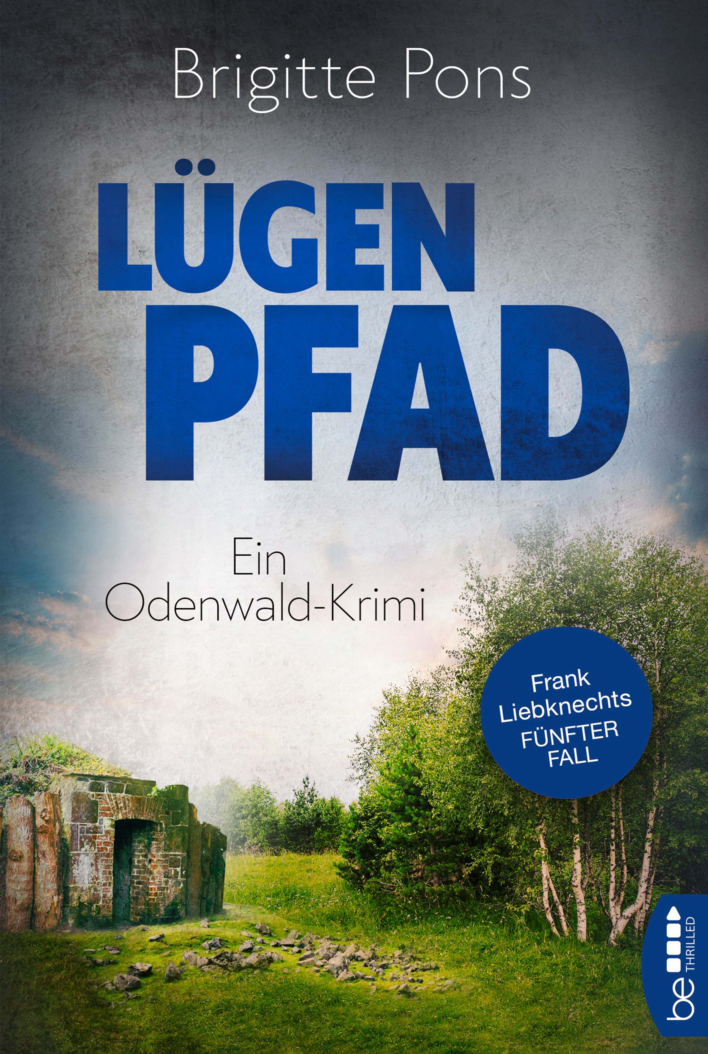 Produktbild: Lügenpfad (9783741301759 )