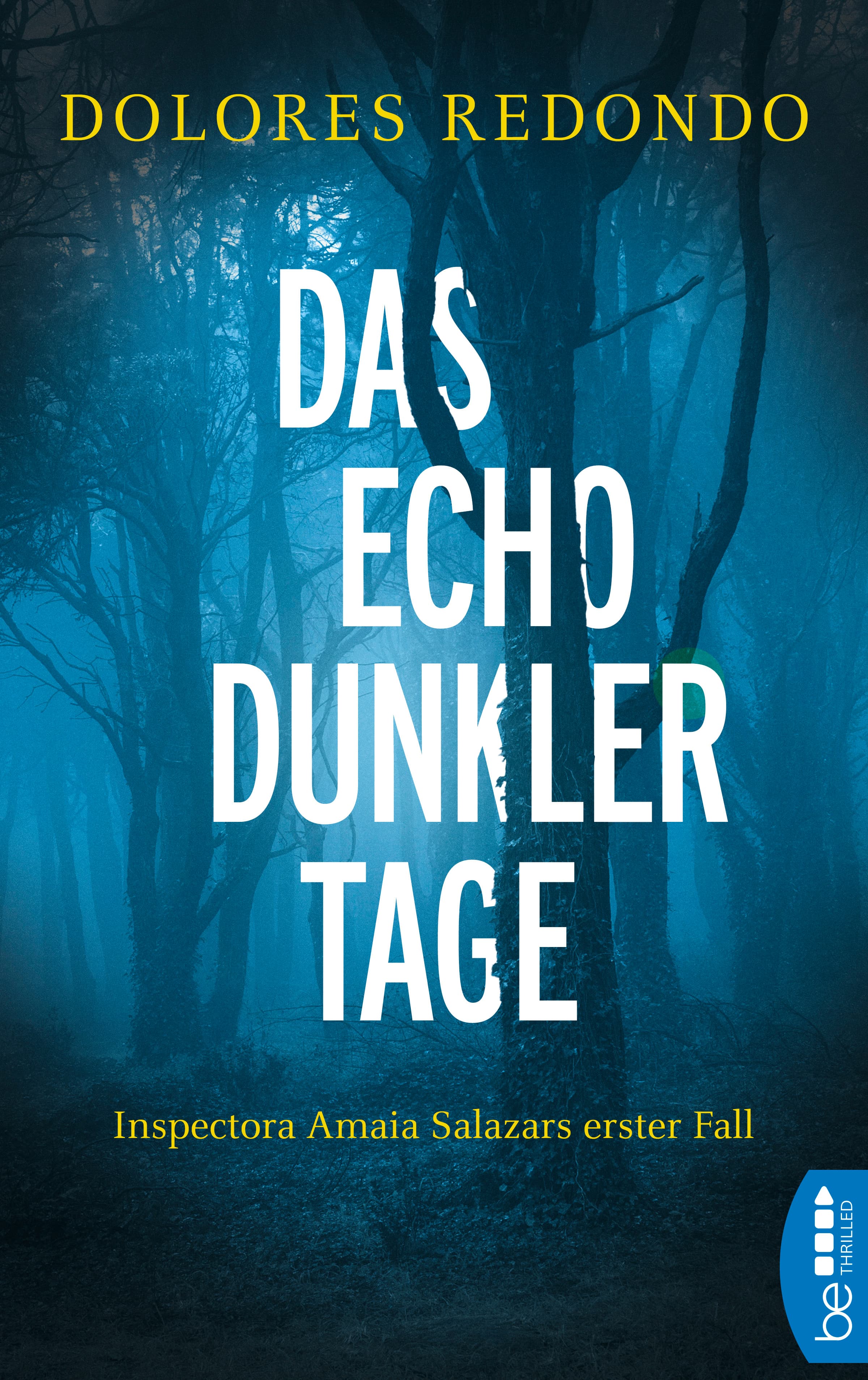 Das Echo dunkler Tage