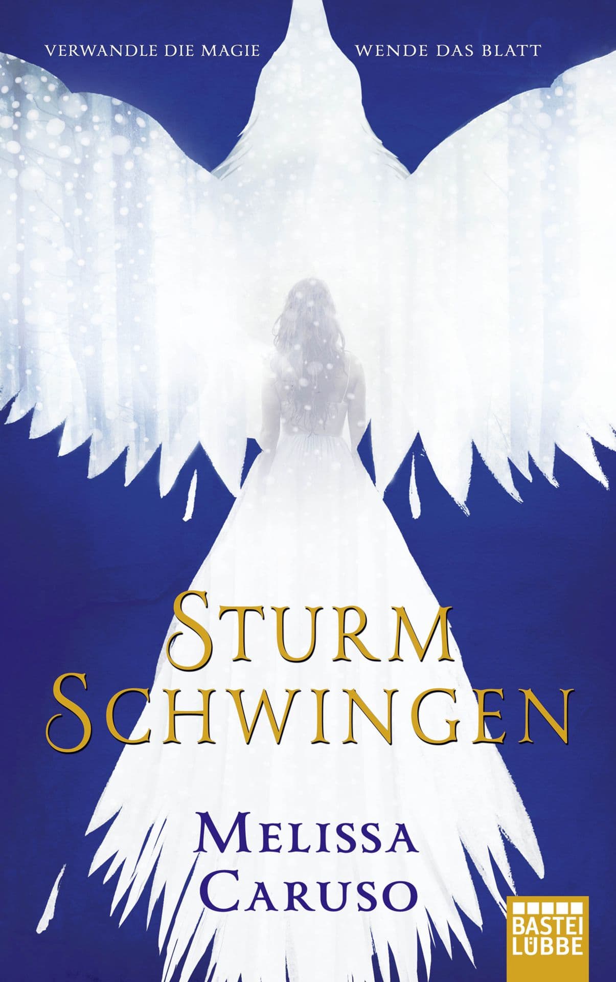Produktbild: Sturmschwingen (9783732578306 )