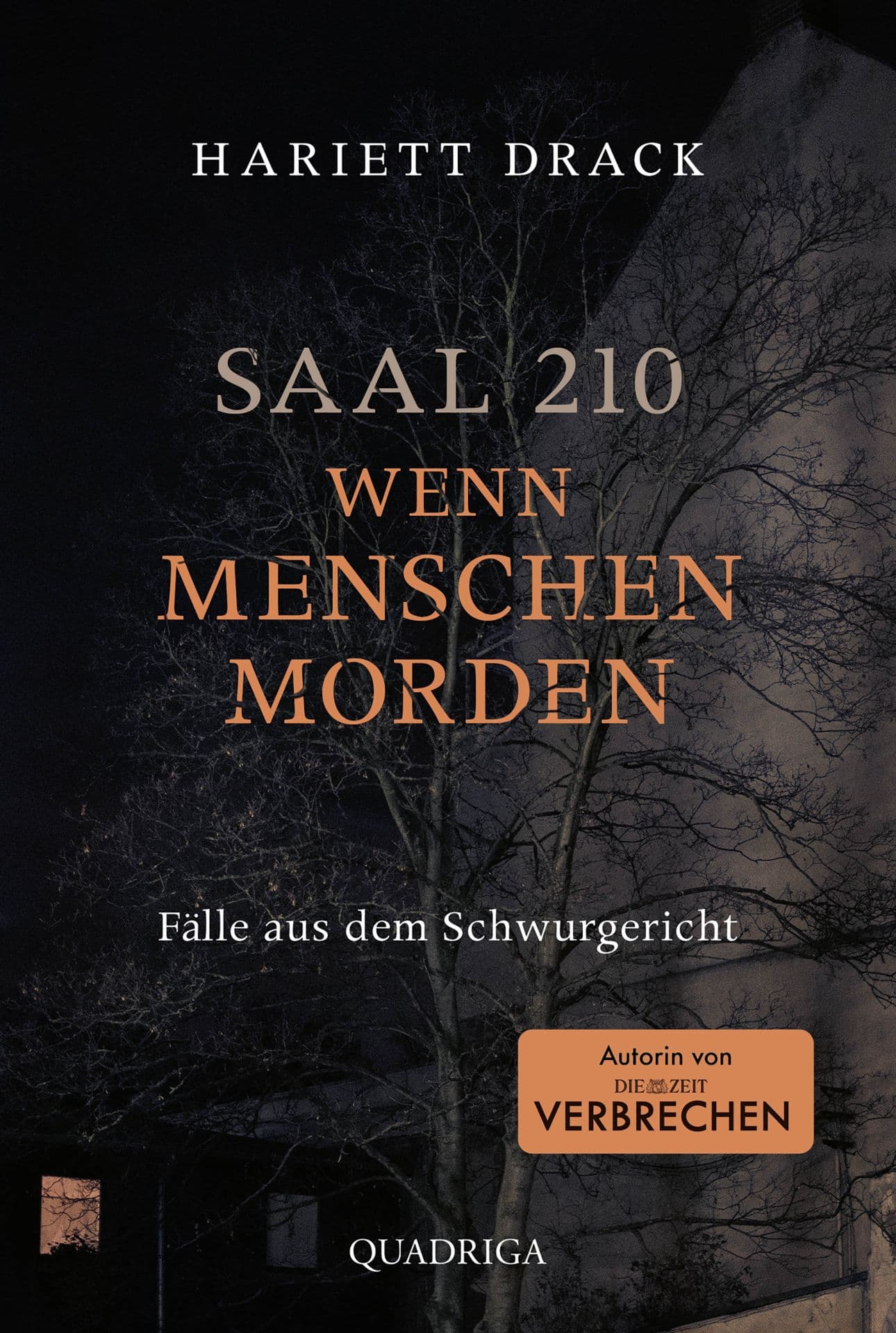 Produktbild: Saal 210 - Wenn Menschen morden (9783751748919 )