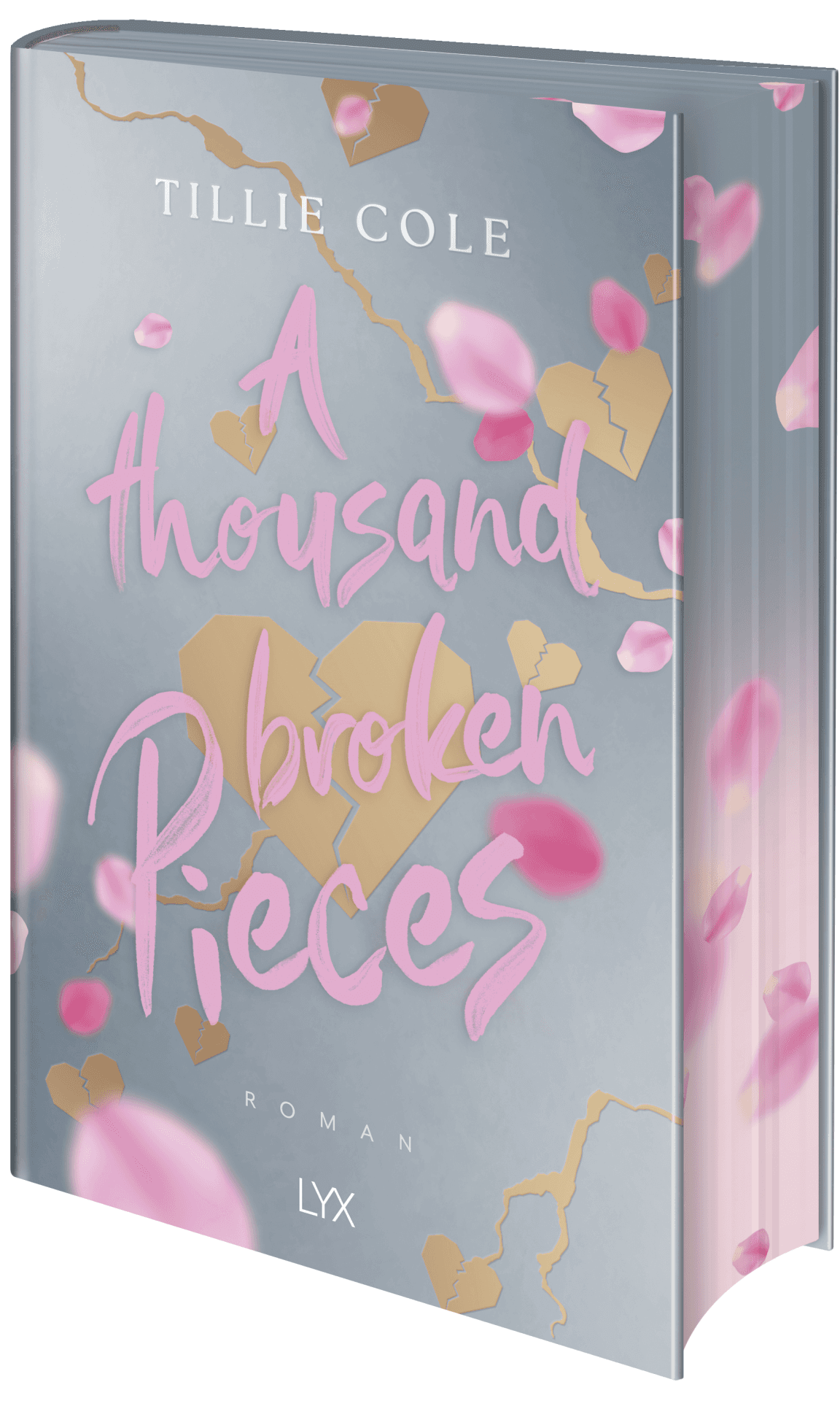 Produktbild: A Thousand Broken Pieces: Special Edition (9783736324831 )