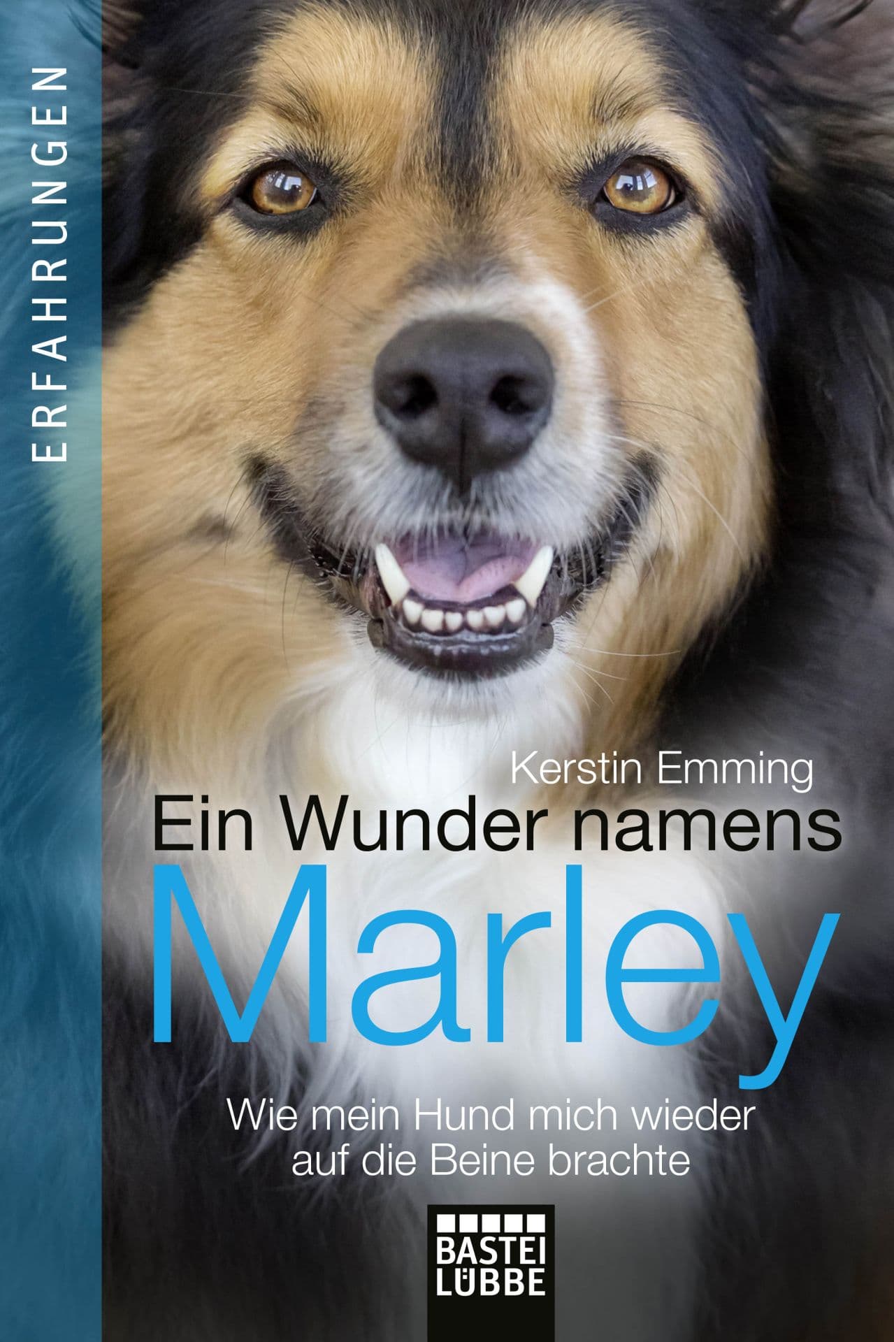 Produktbild: Ein Wunder namens Marley (9783732580040 )