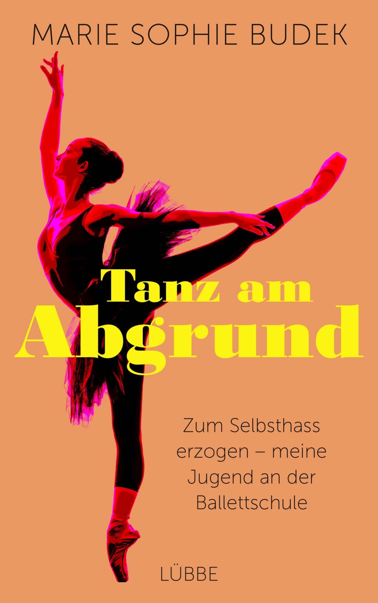 Produktbild: Tanz am Abgrund (9783751715058 )