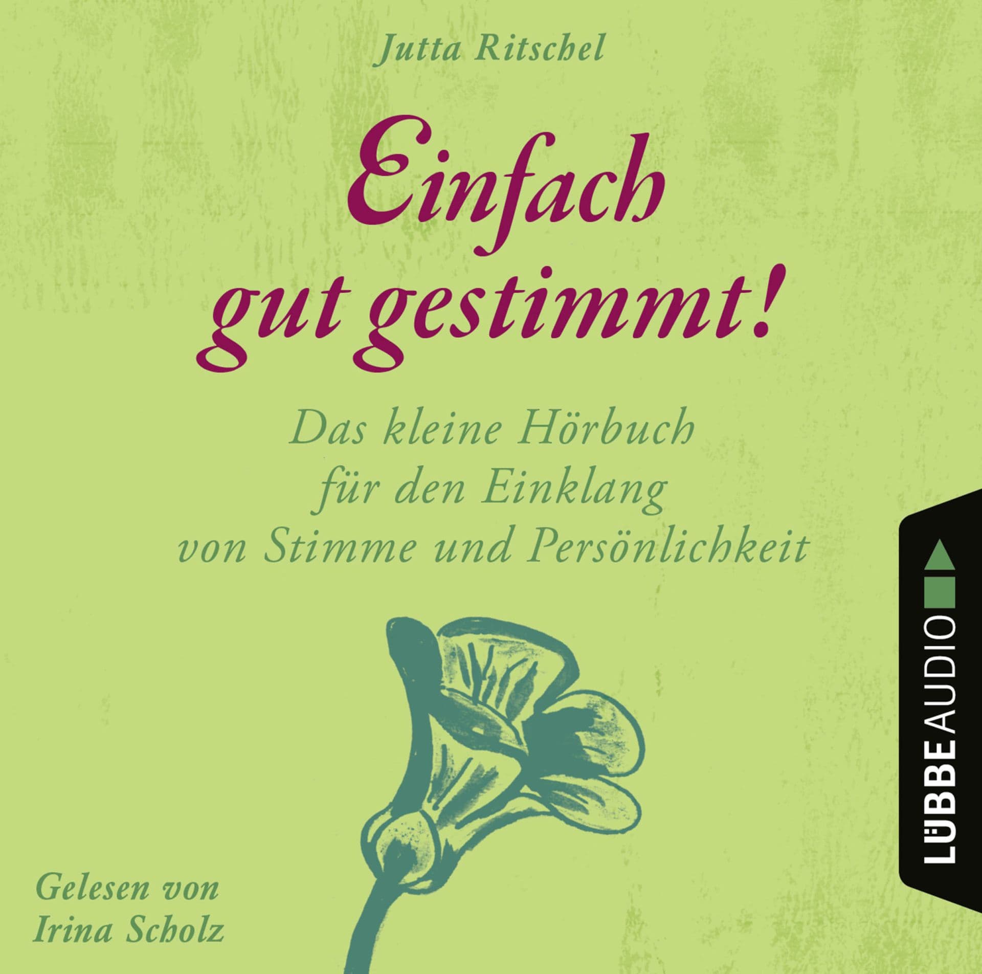 Produktbild: Einfach gut gestimmt! (9783838794488 )