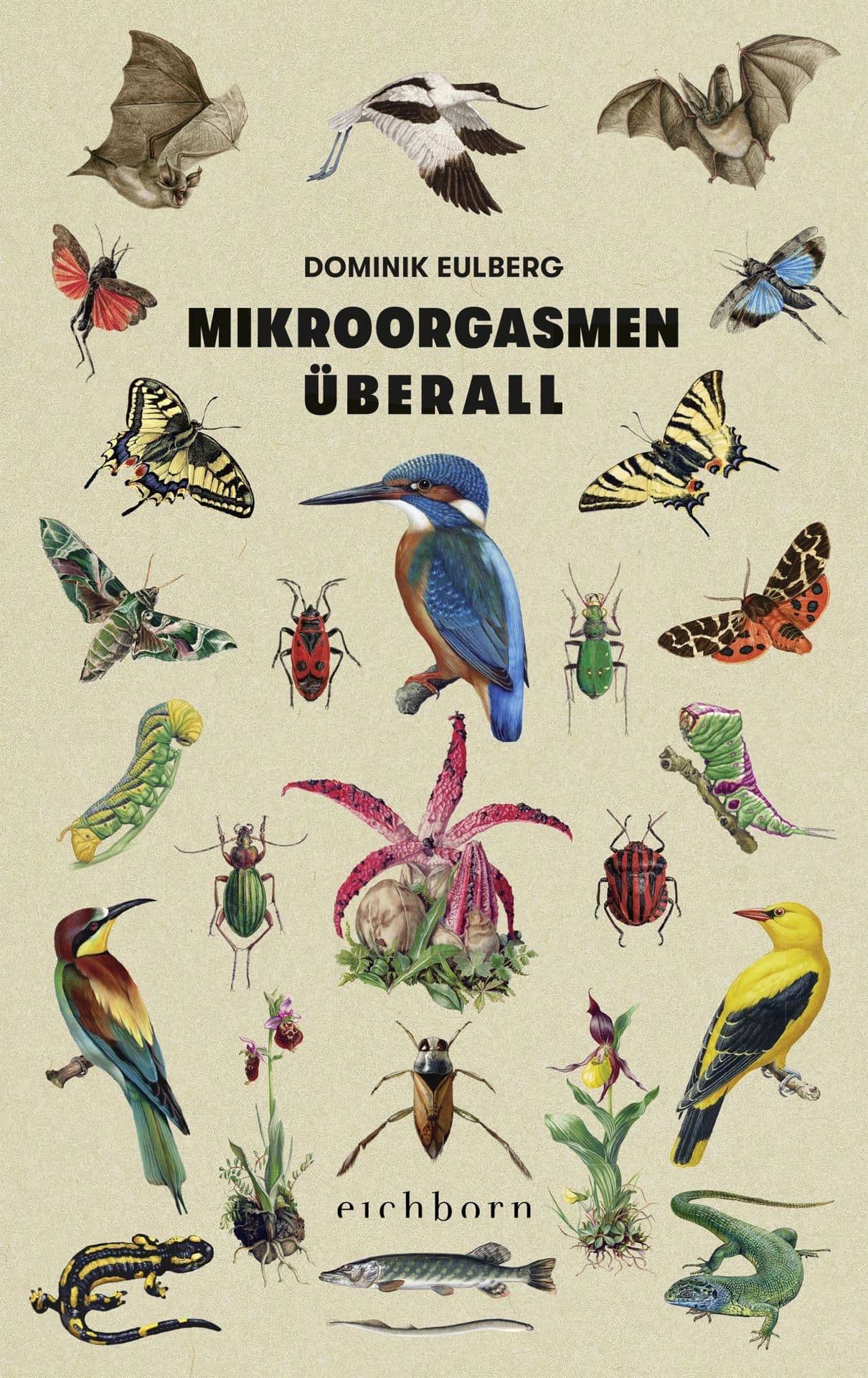Produktbild: Mikroorgasmen überall (9783847900658 )