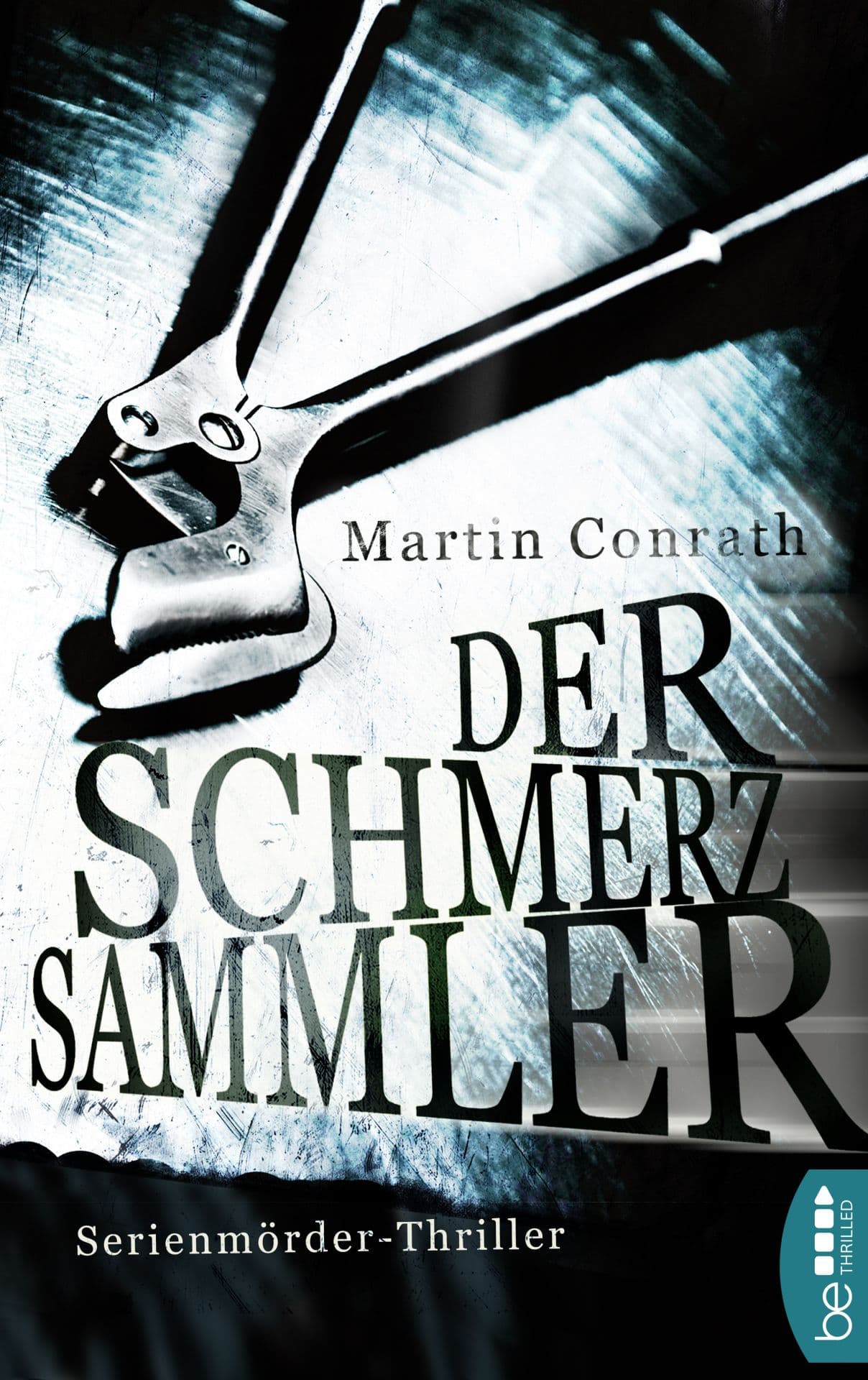 Produktbild: Der Schmerzsammler (9783732569793 )