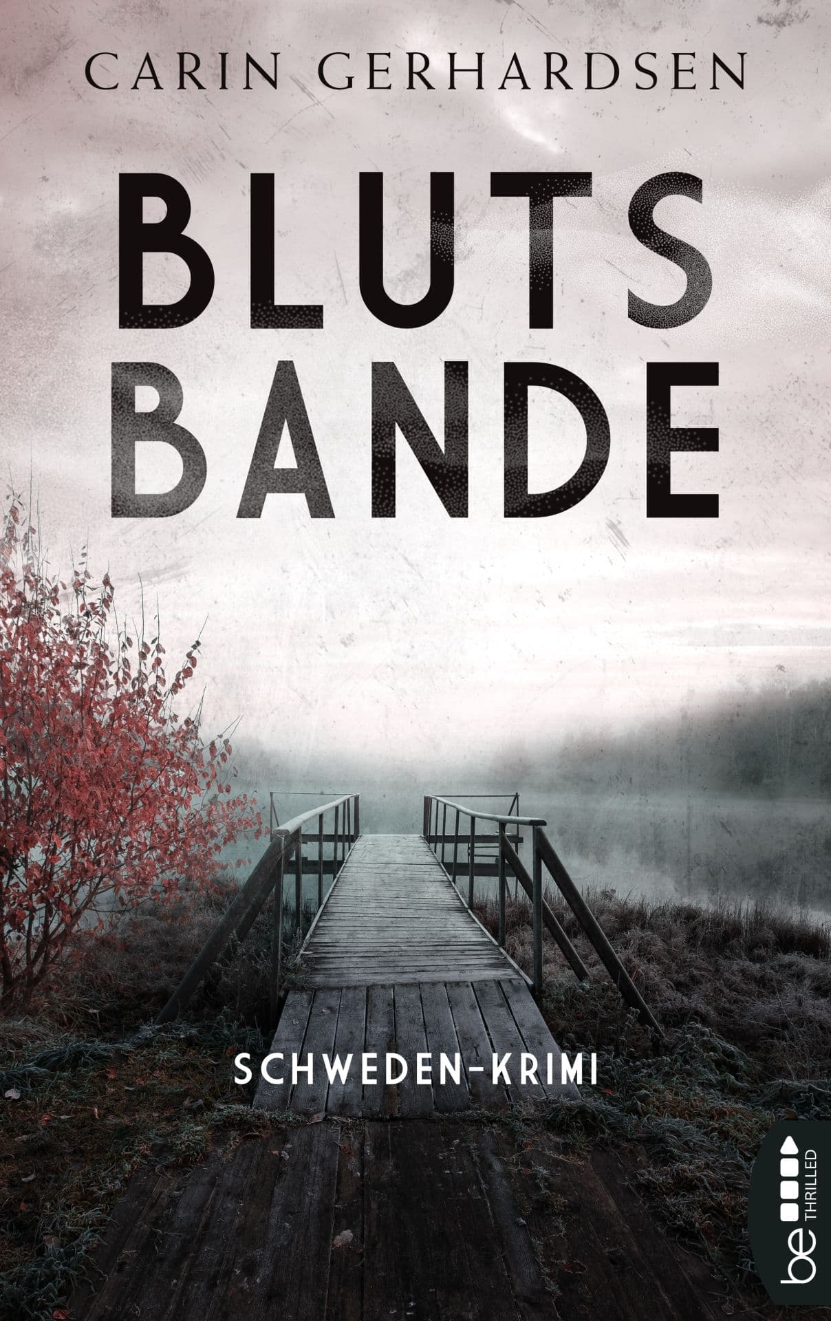 Produktbild: Blutsbande (9783751707701 )