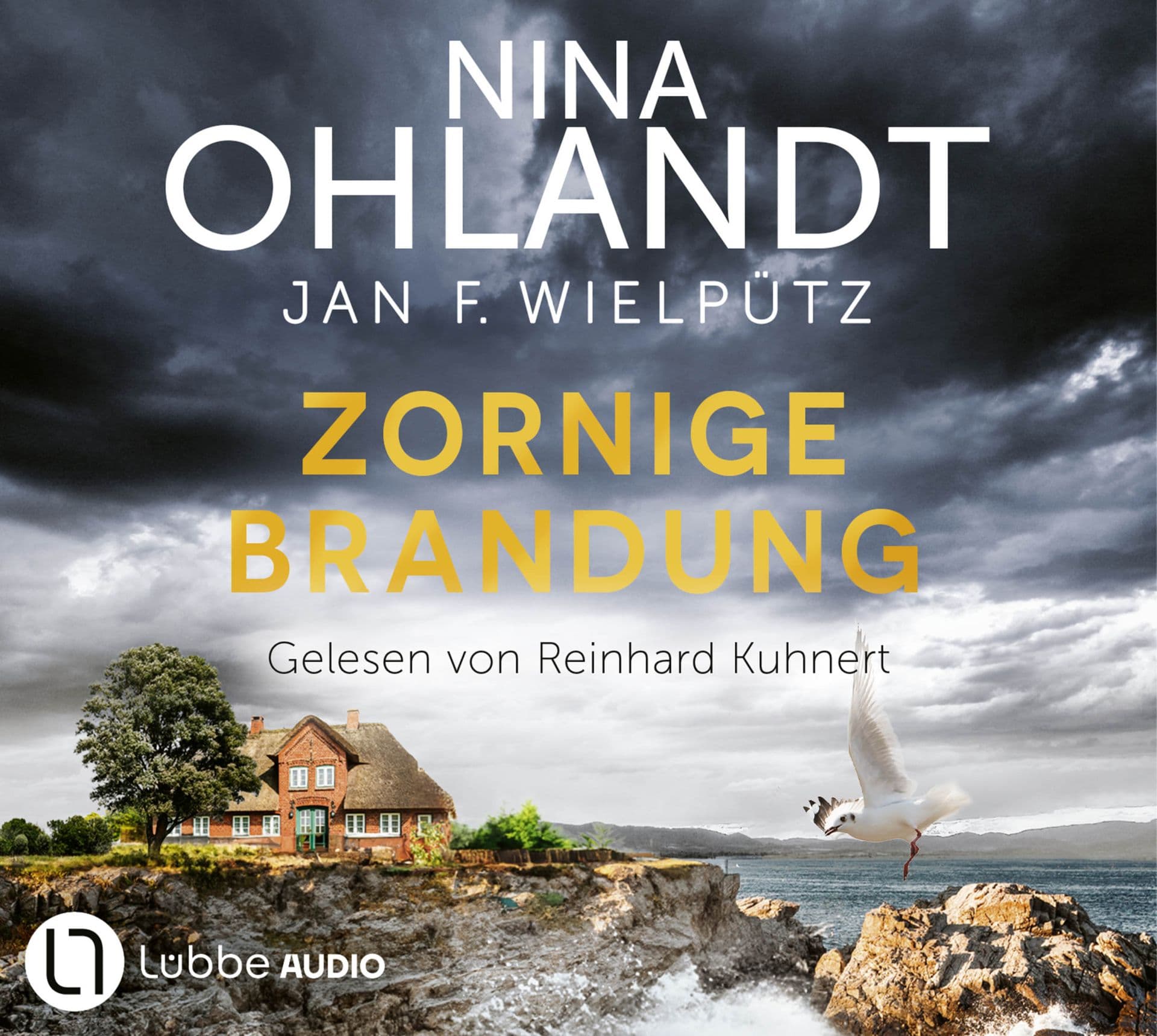 Produktbild: Zornige Brandung  (9783754016534 )