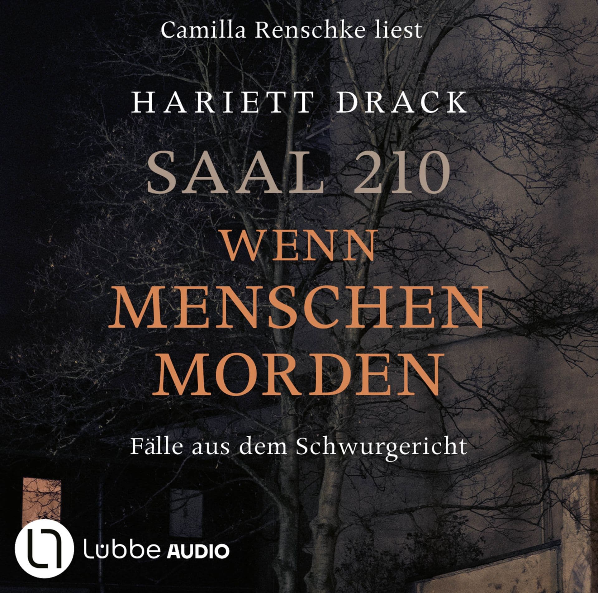 Produktbild: Saal 210 - Wenn Menschen morden (9783754011881 )