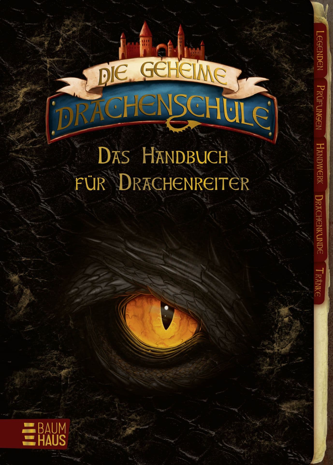 Produktbild: Die geheime Drachenschule - Das Handbuch für Drachenreiter (9783833908187 )