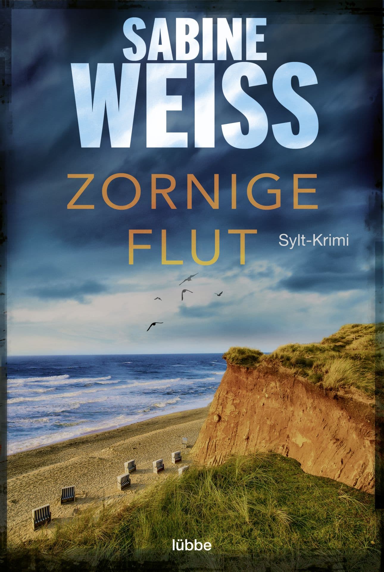 Produktbild: Zornige Flut (9783404189625 )