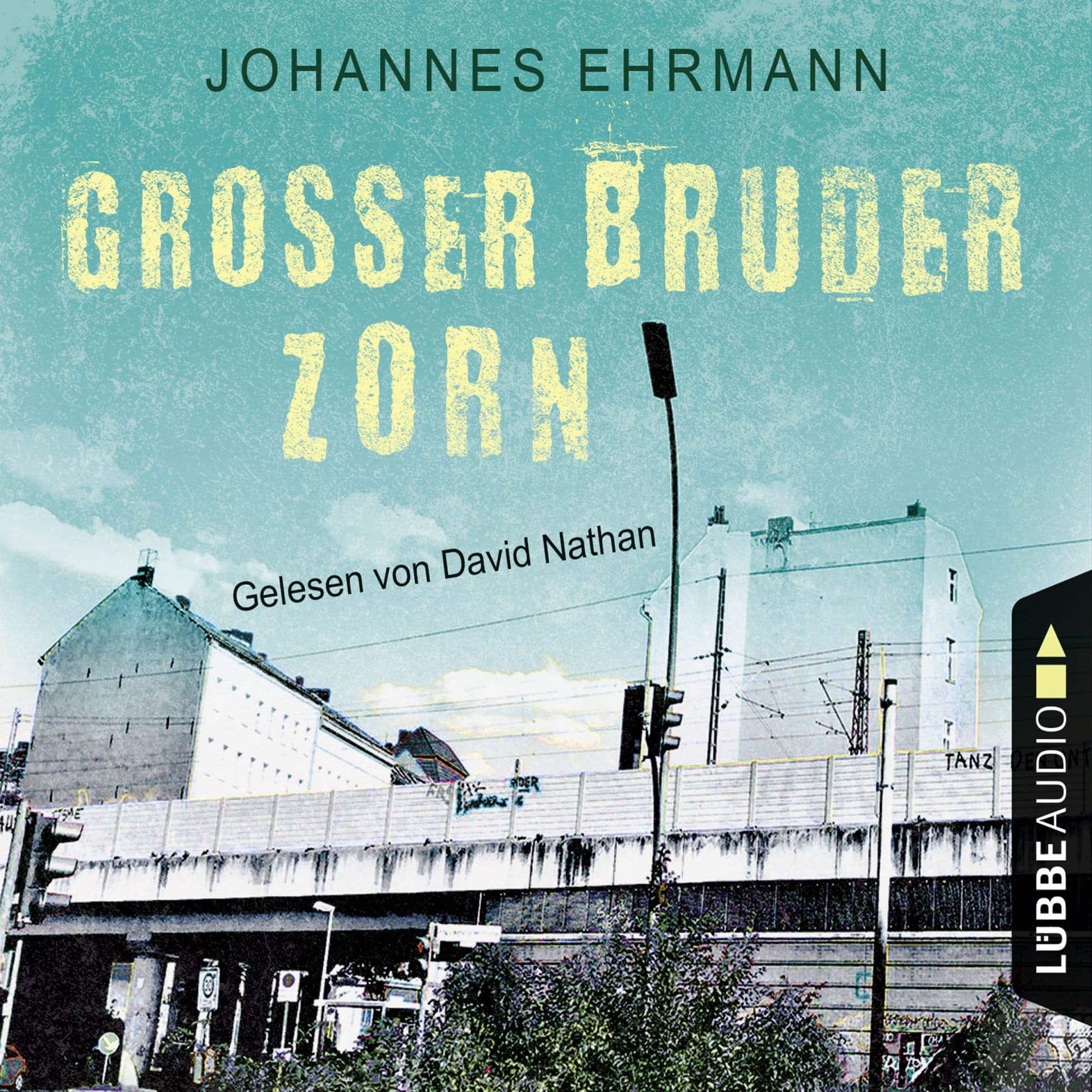 Produktbild: Großer Bruder Zorn (9783838778938 )
