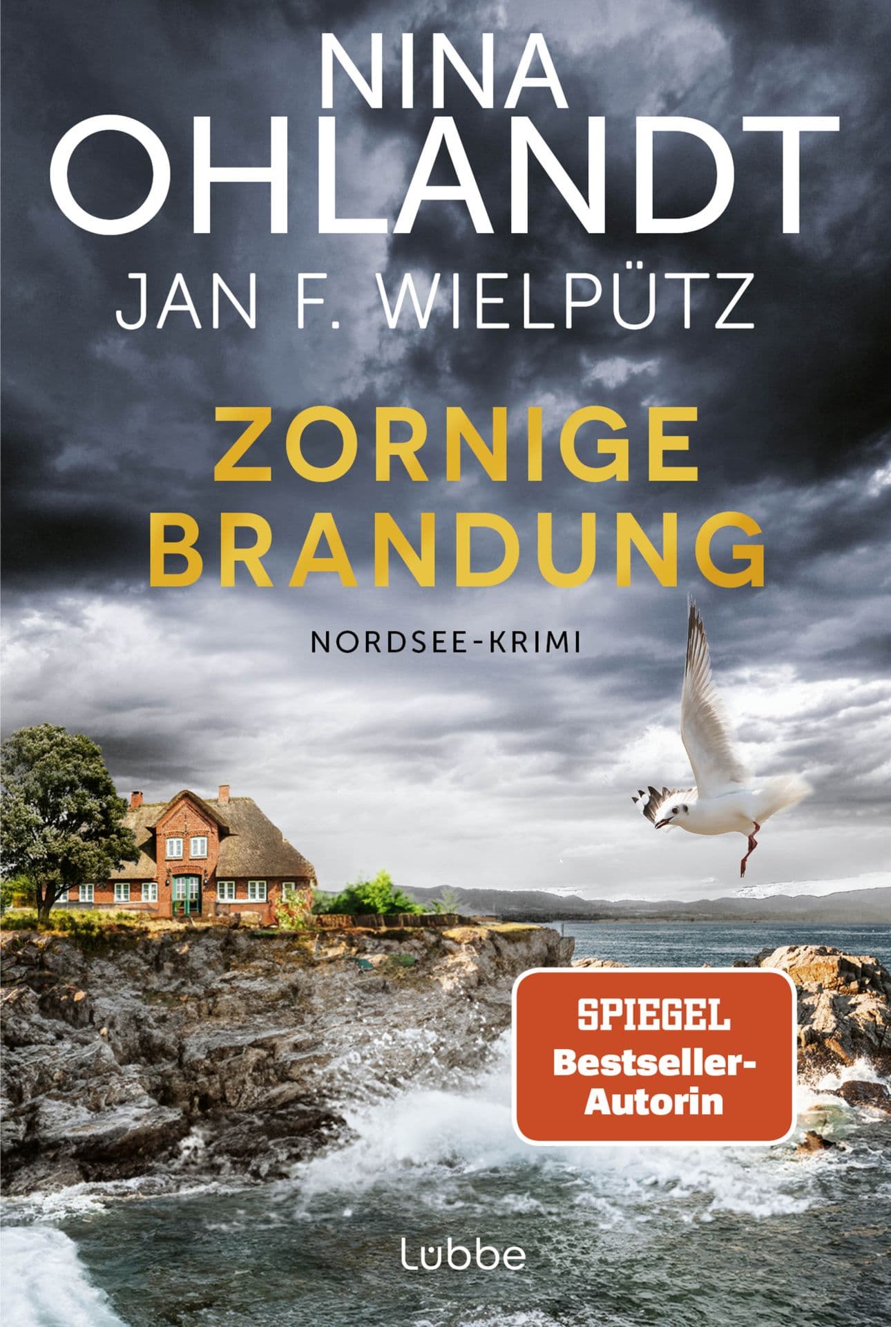 Produktbild: Zornige Brandung  (9783404193912 )