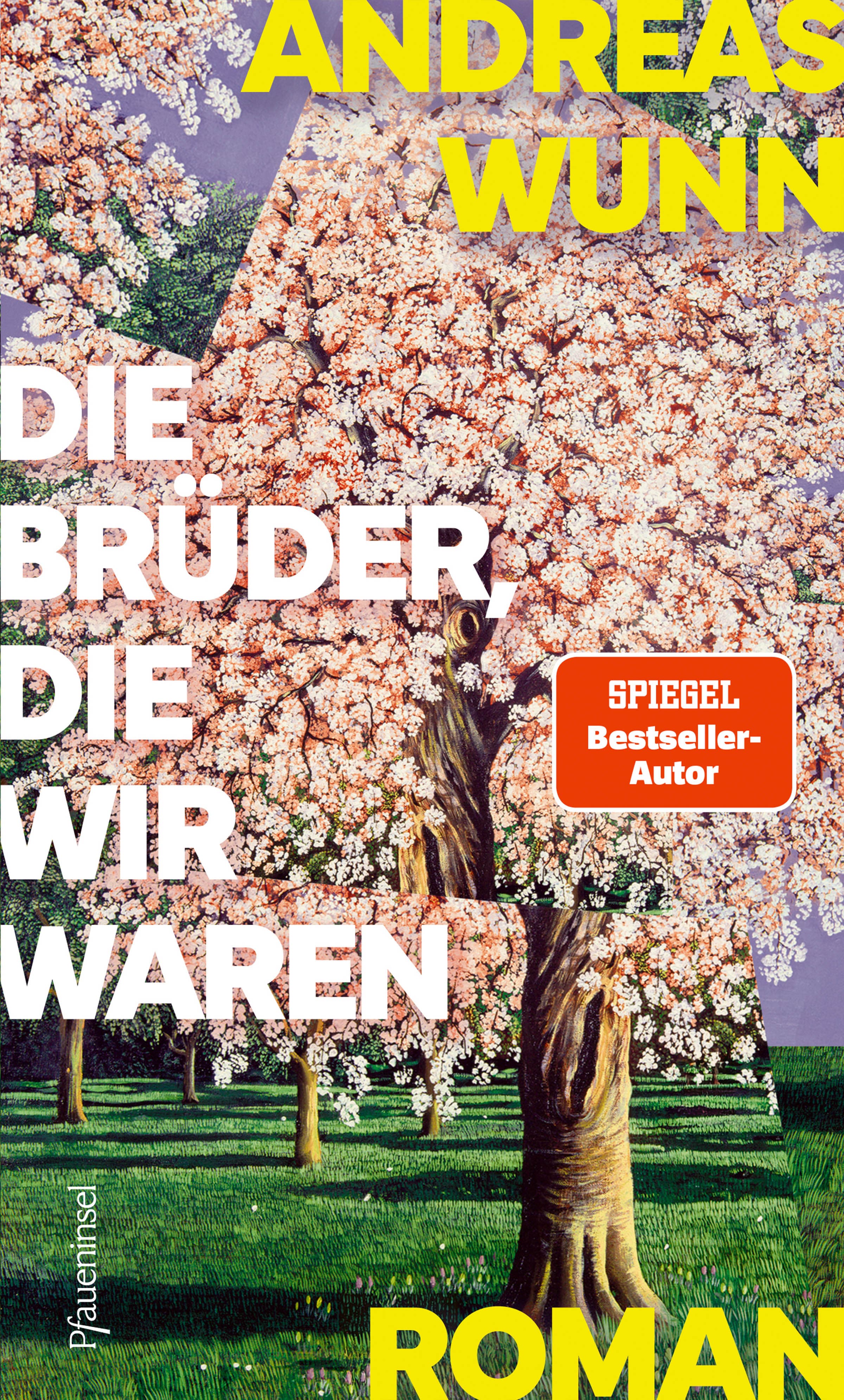 Produktbild: Die Brüder, die wir waren (9783691310153 )