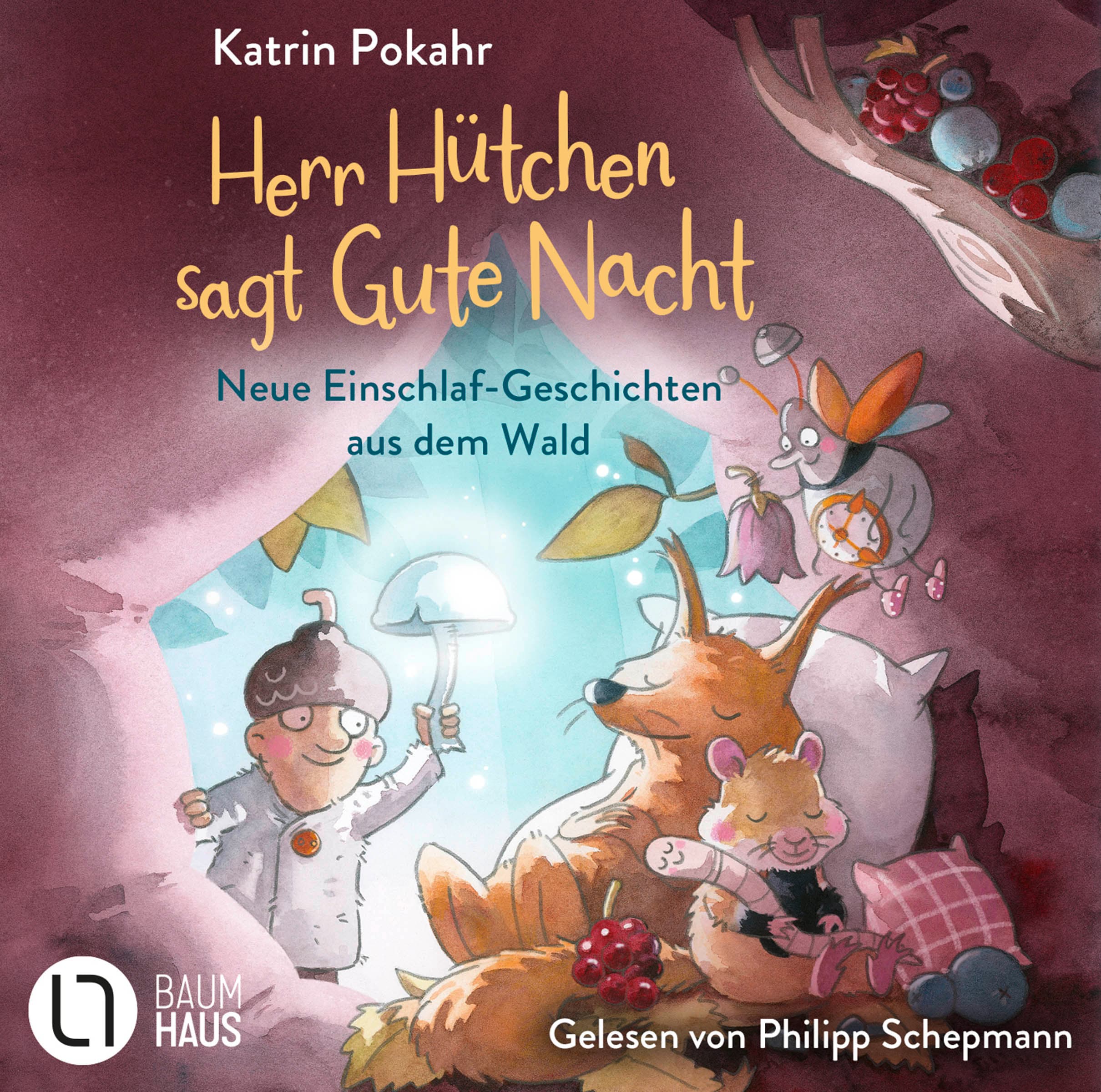 Produktbild: Herr Hütchen sagt Gute Nacht - Neue Einschlaf-Geschichten aus dem Wald (9783754025413 )
