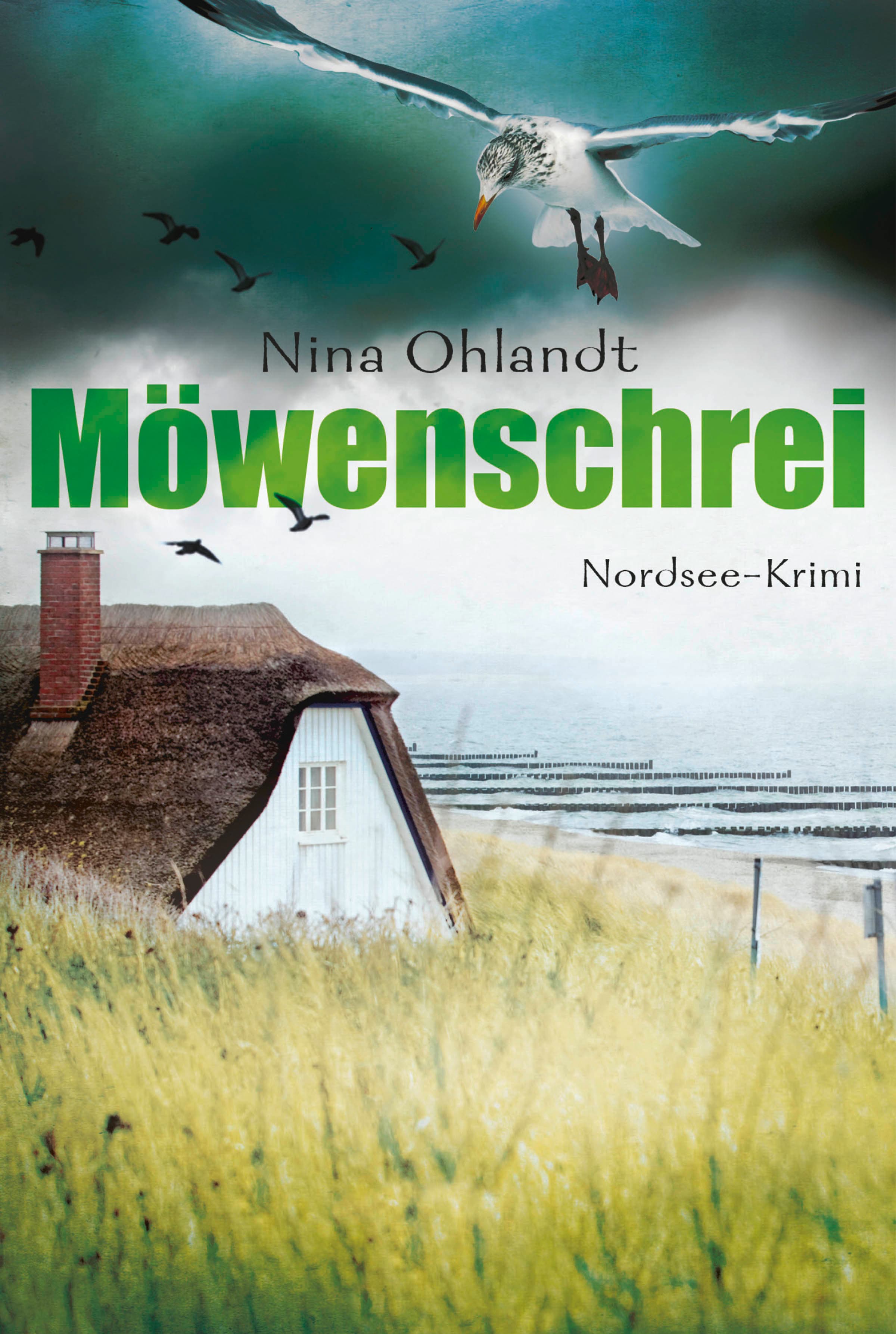 Produktbild: Möwenschrei (9783838759340 )