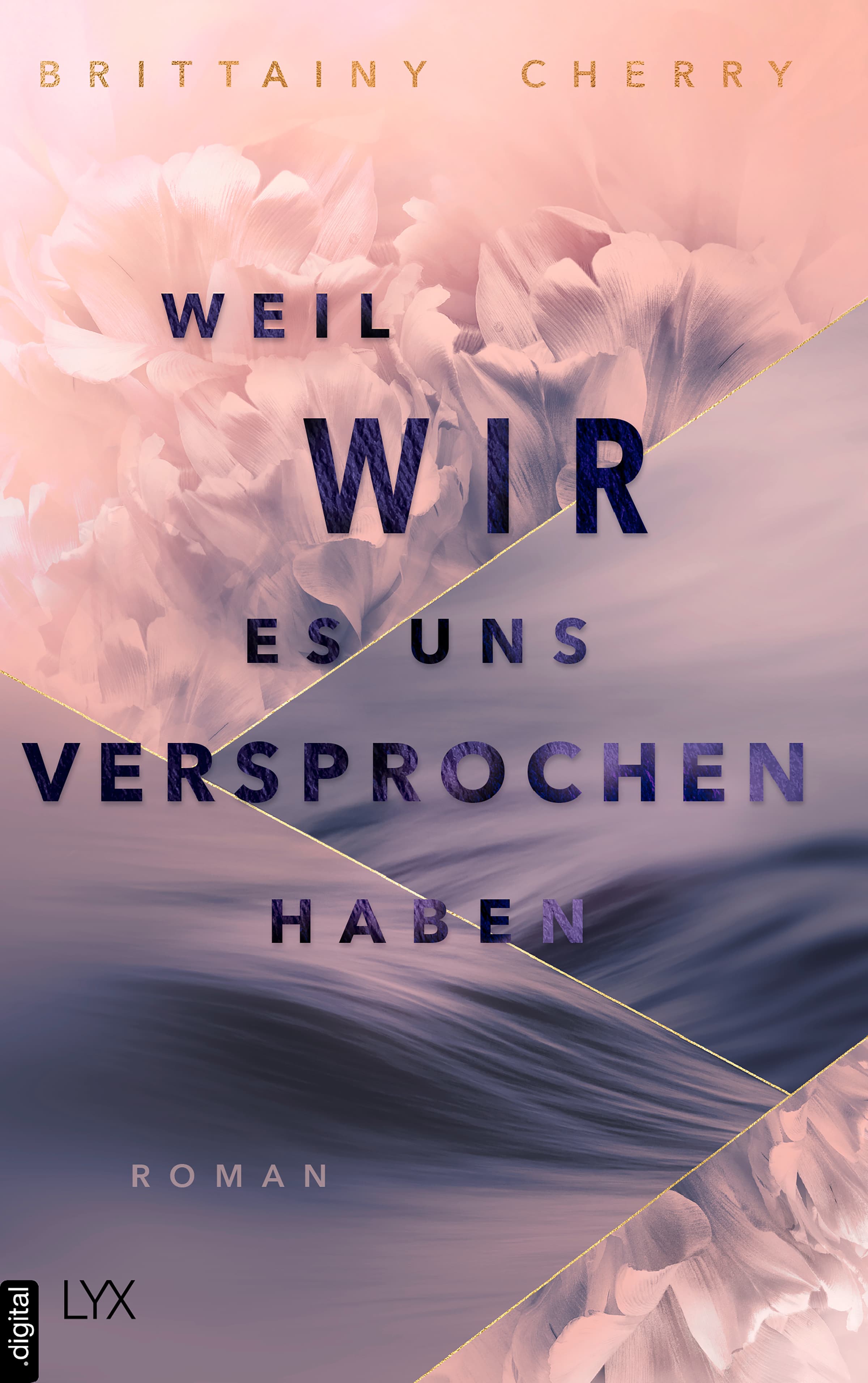Produktbild: Weil wir es uns versprochen haben (9783736322912 )